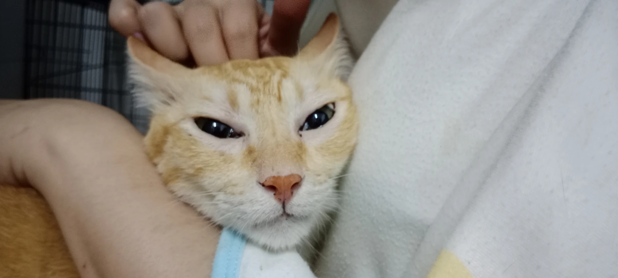 image-5