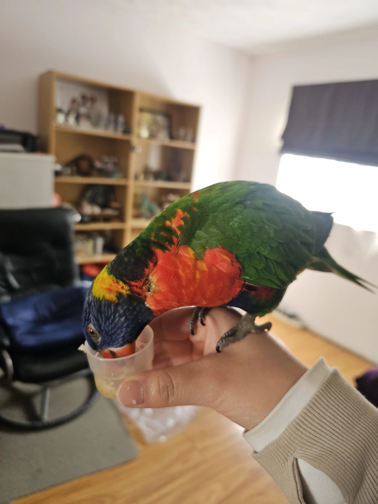 image-6
