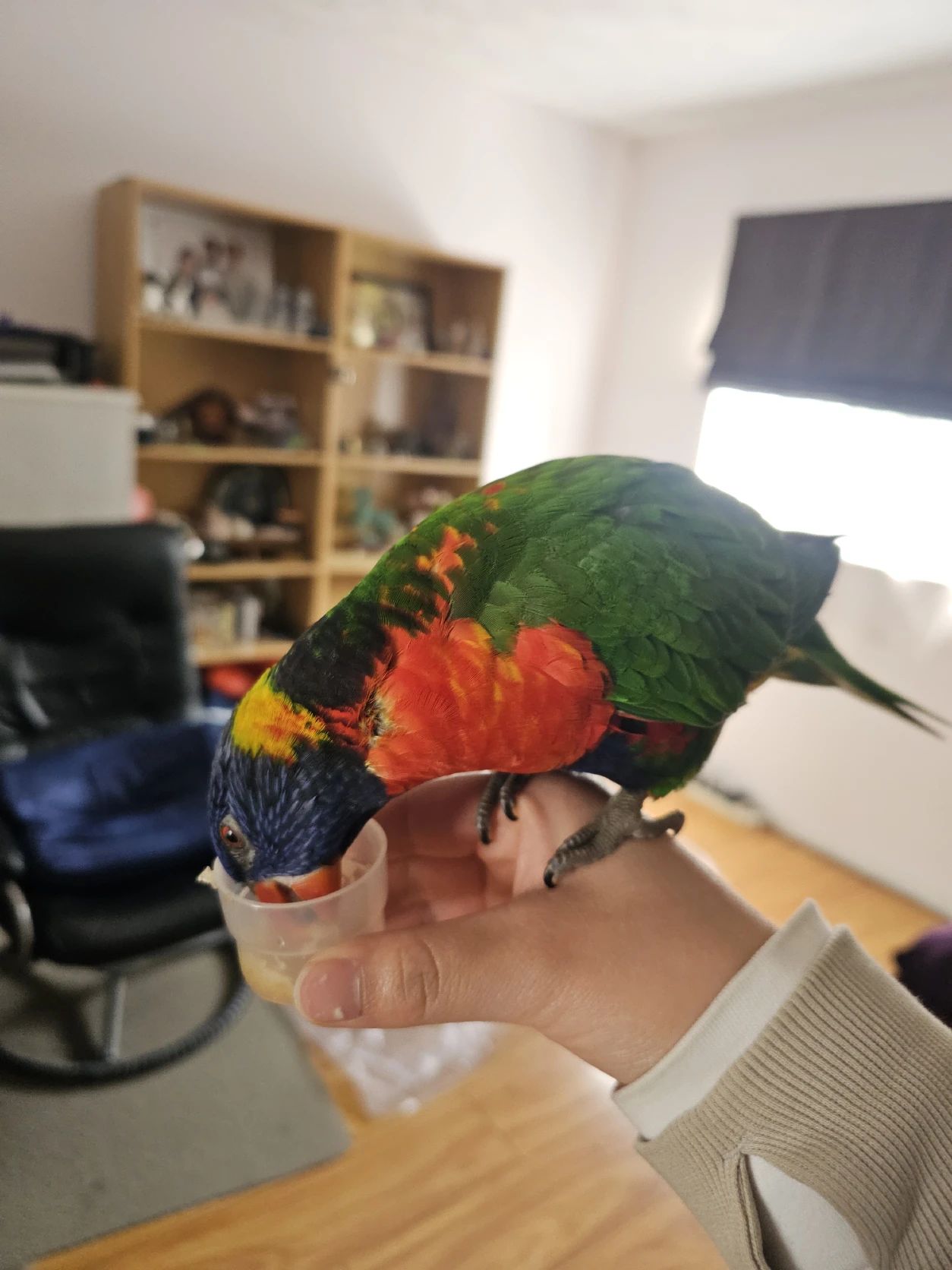 image-6