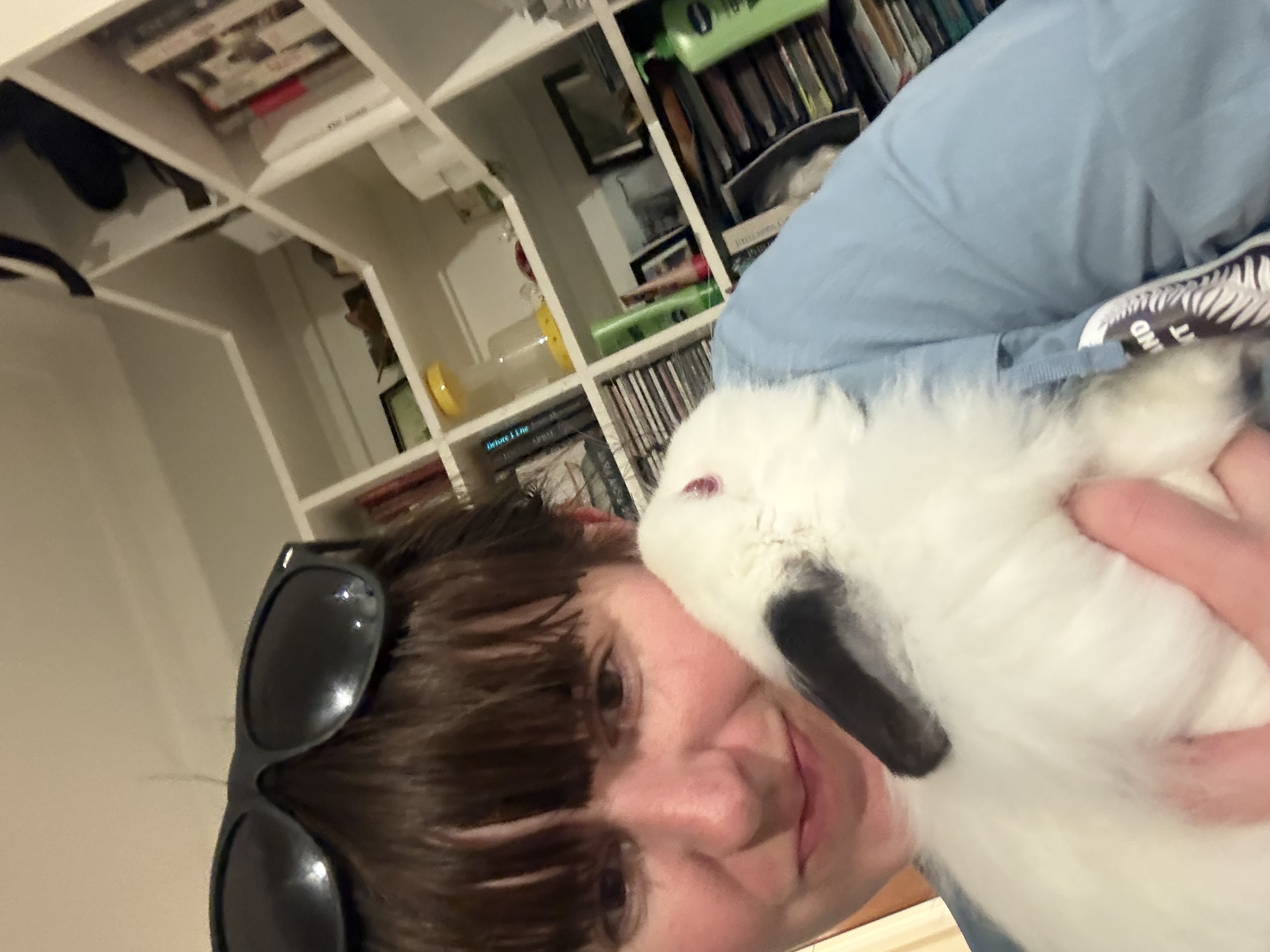 image-6