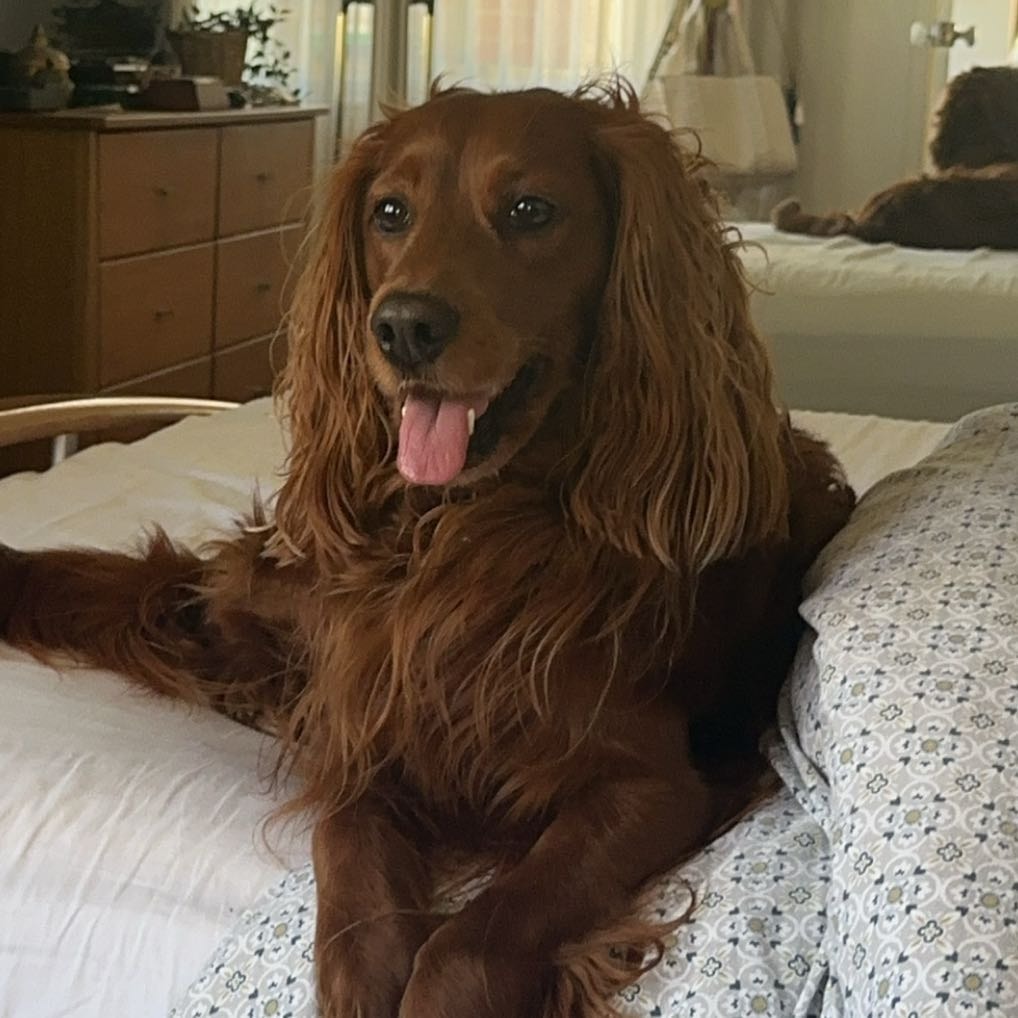Charlie