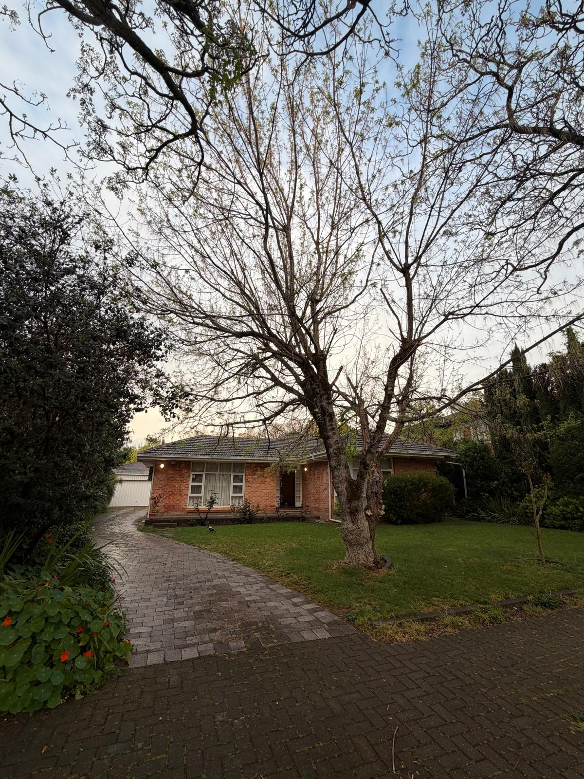 image-19