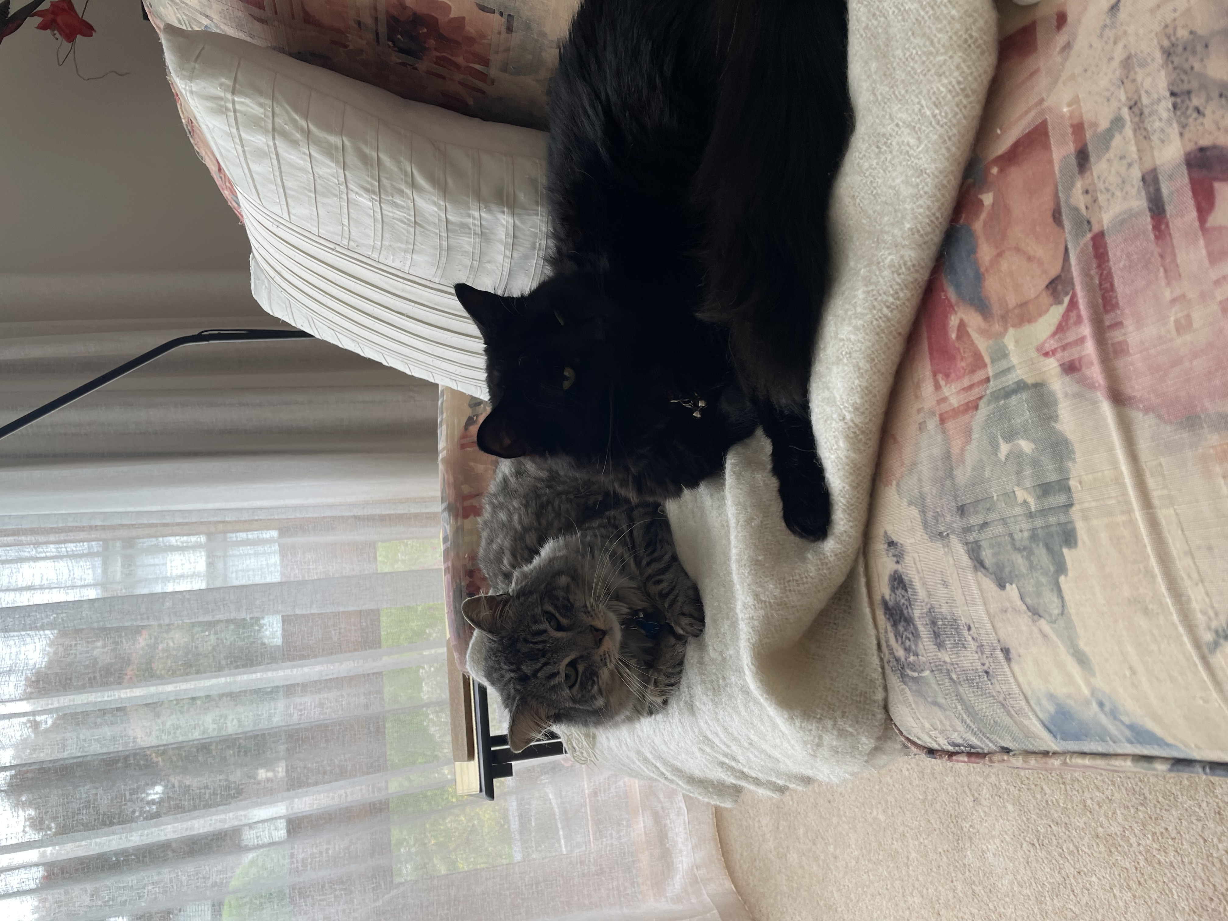 image-14