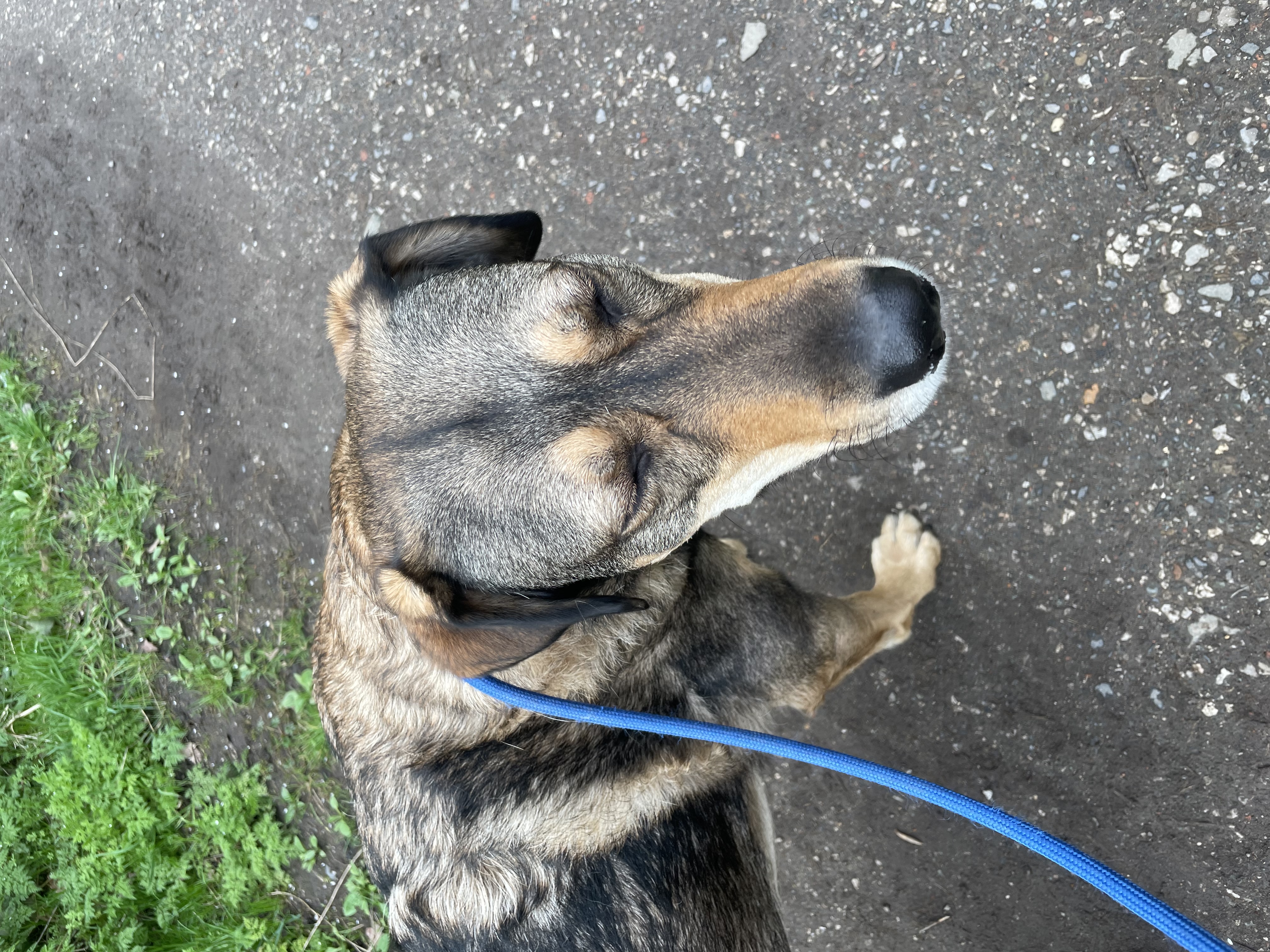 image-16