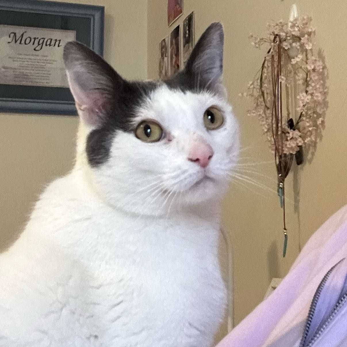 Winnie Maree Valentine