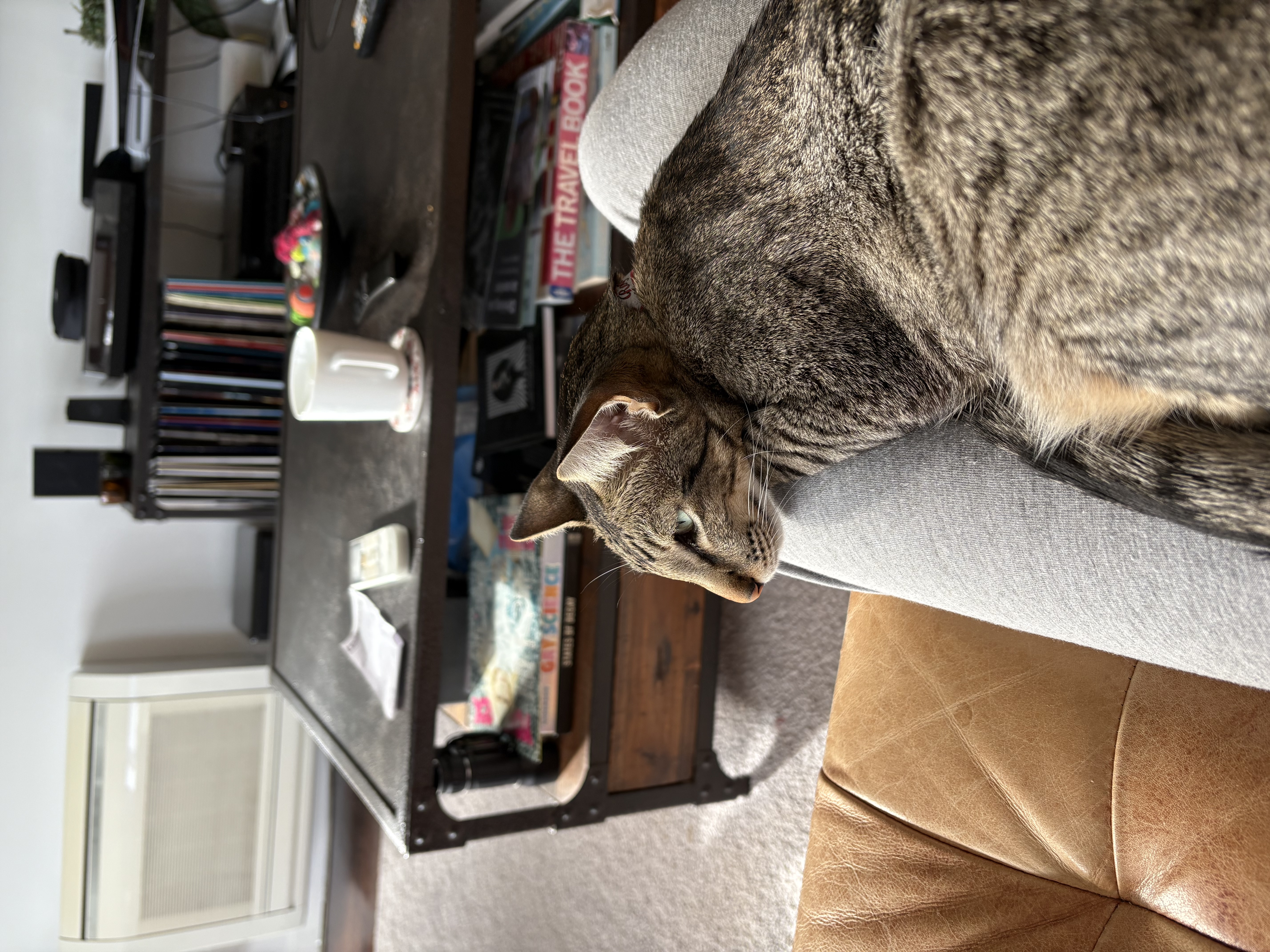 image-15