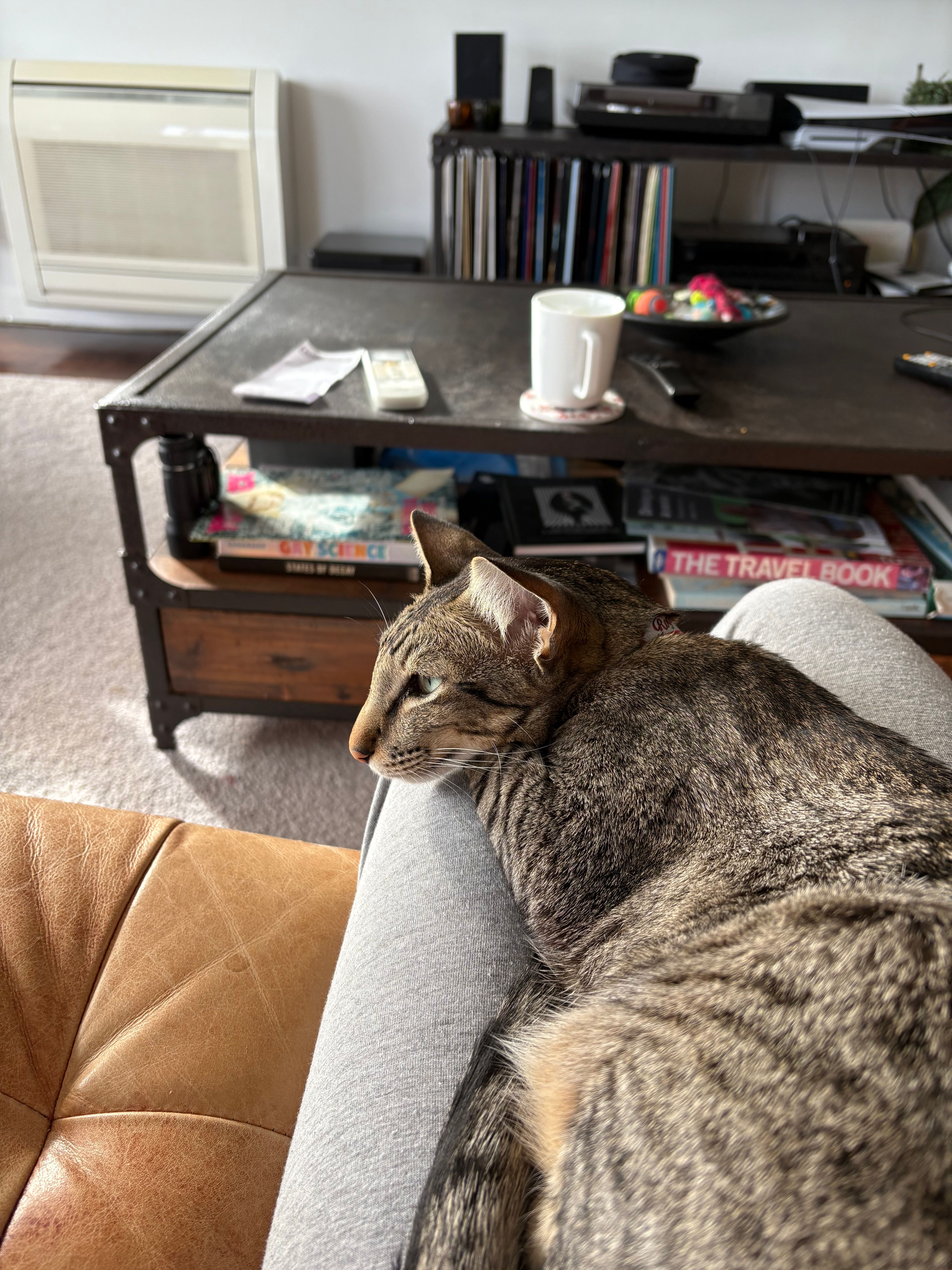 image-15