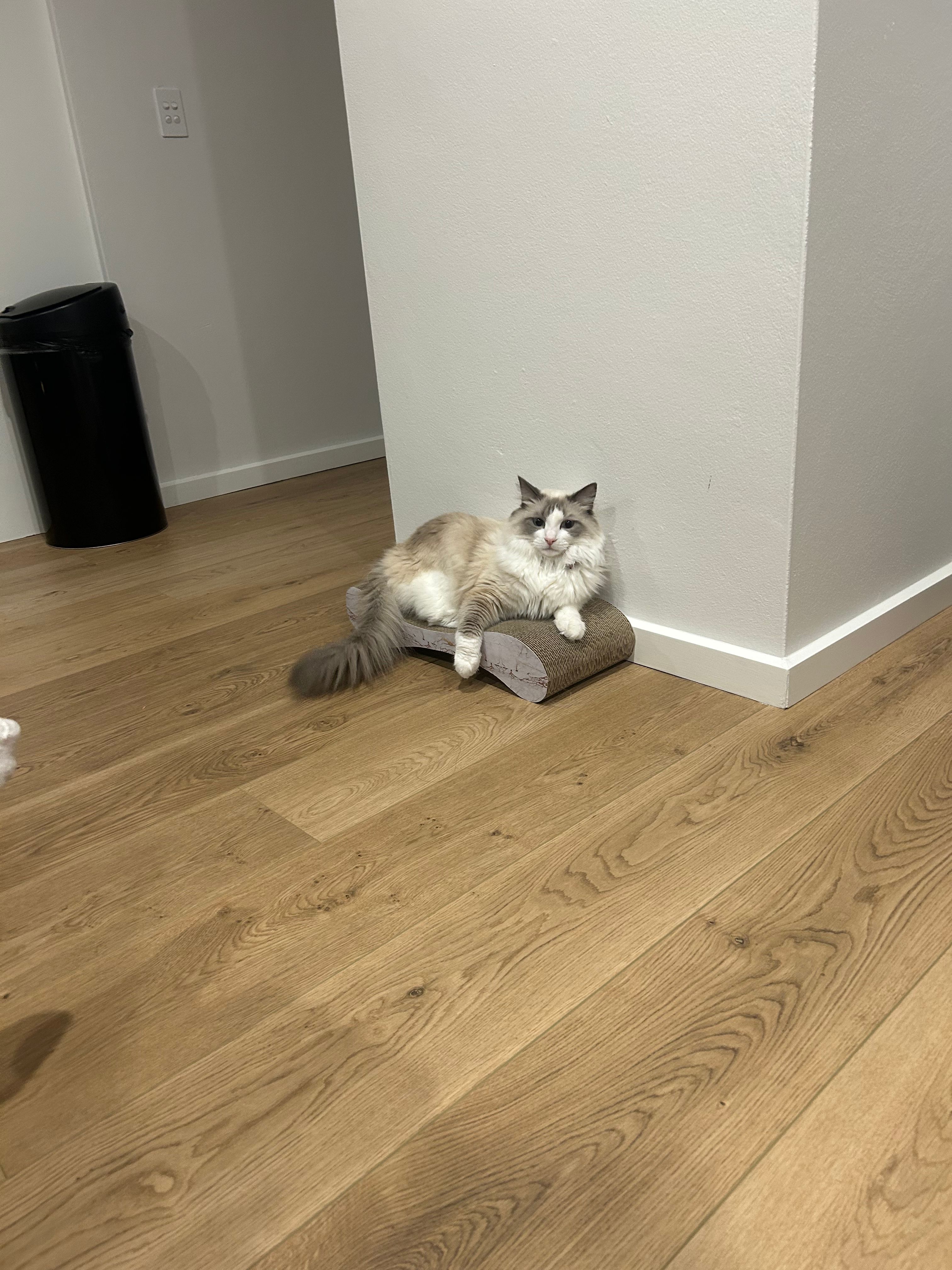 image-15