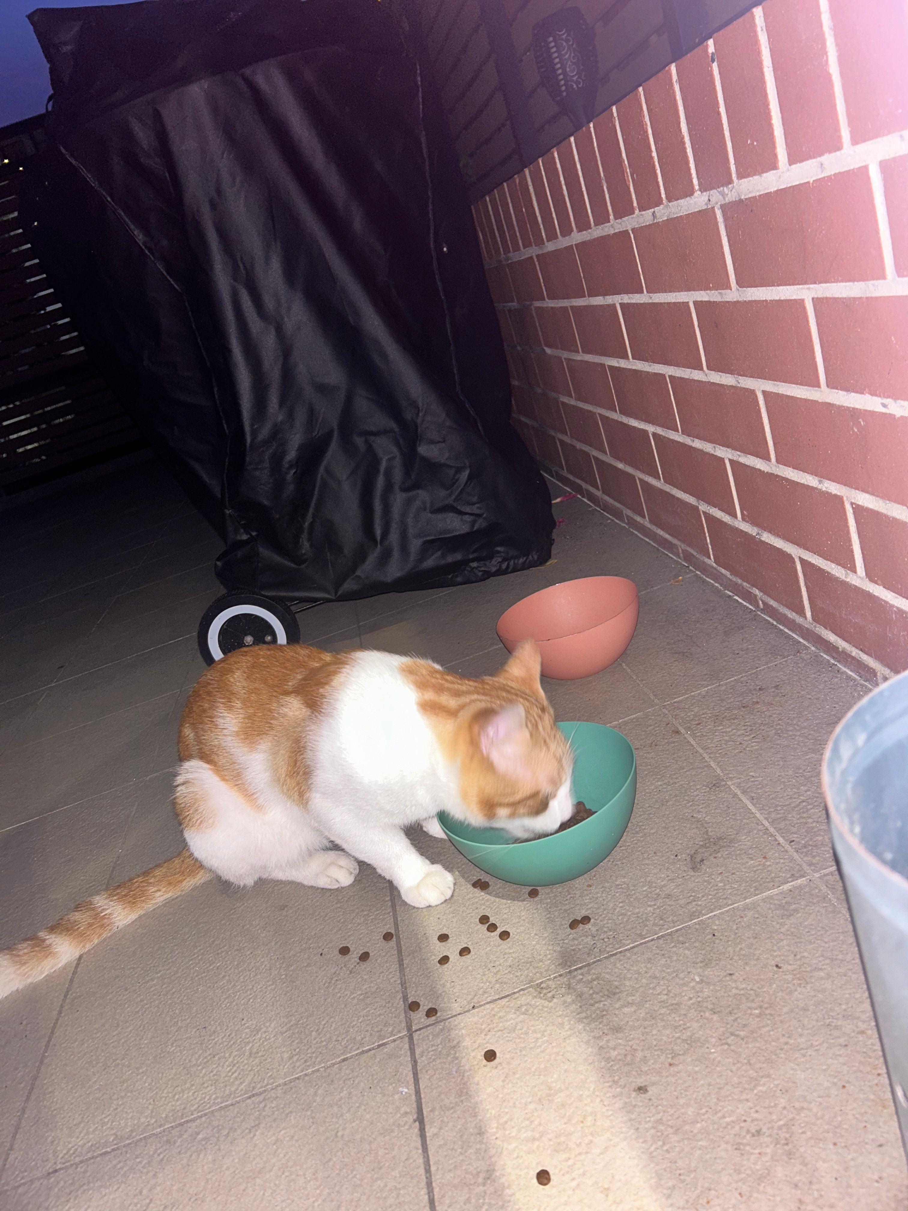 image-10