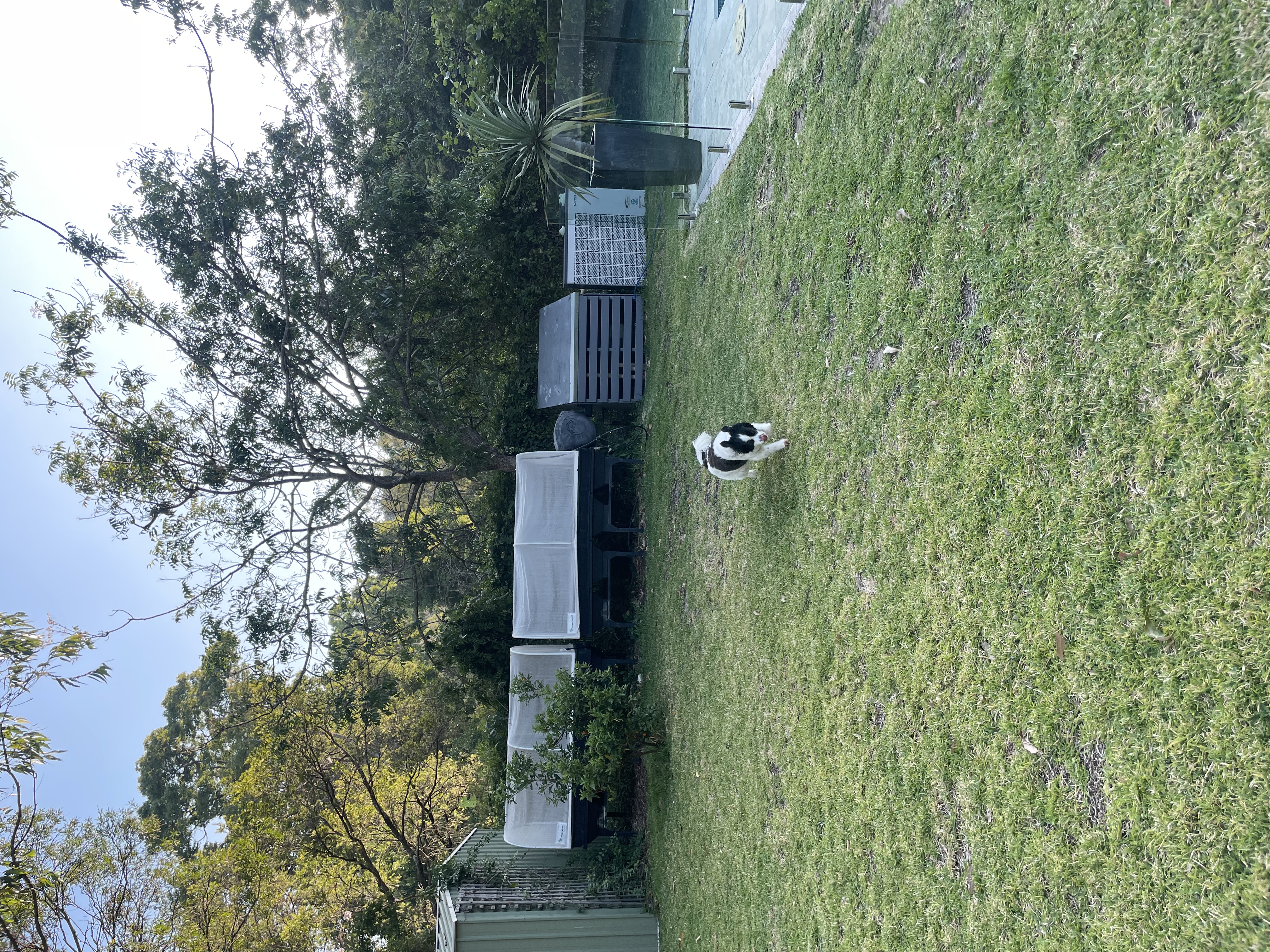 image-18