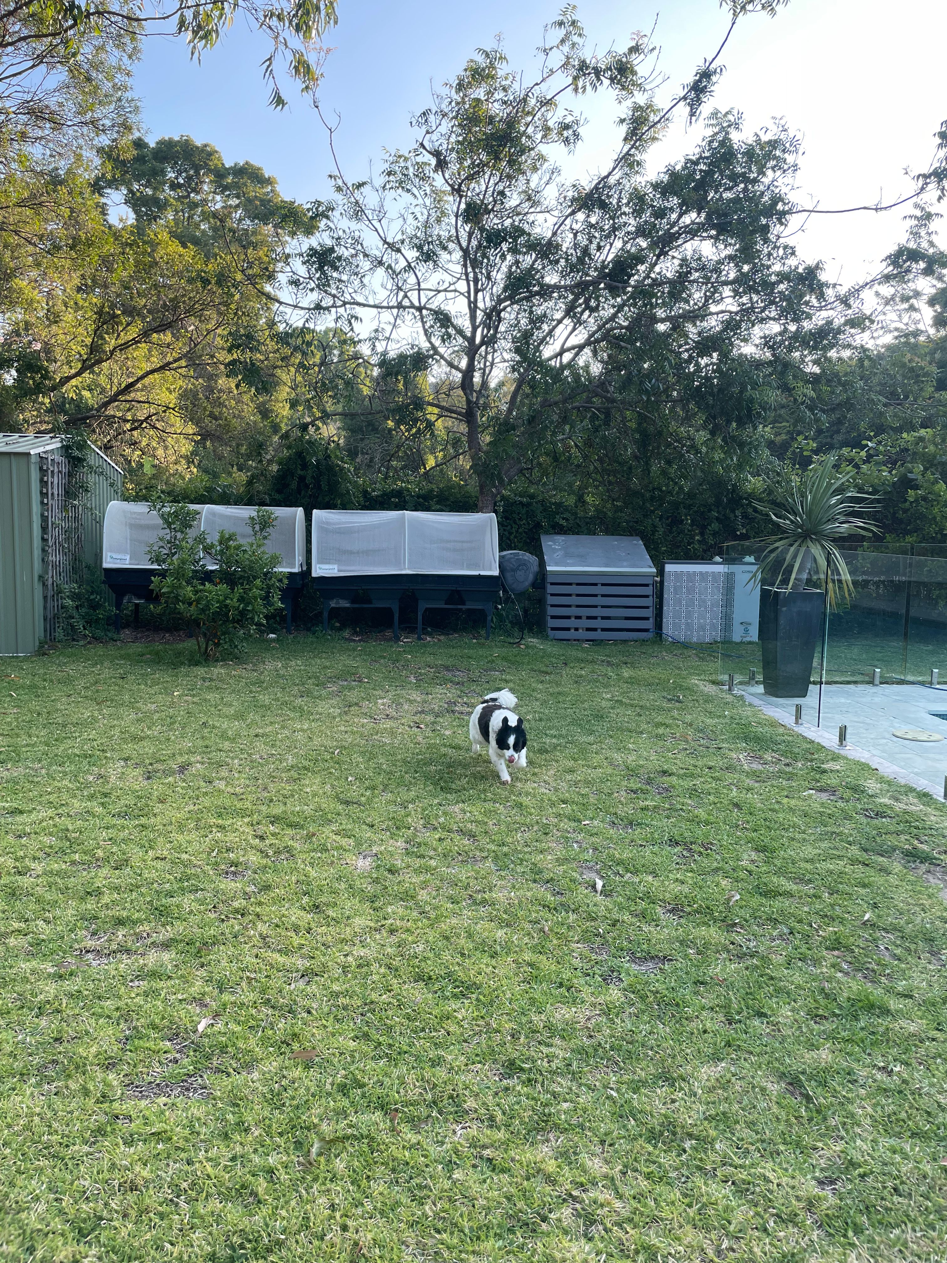 image-18