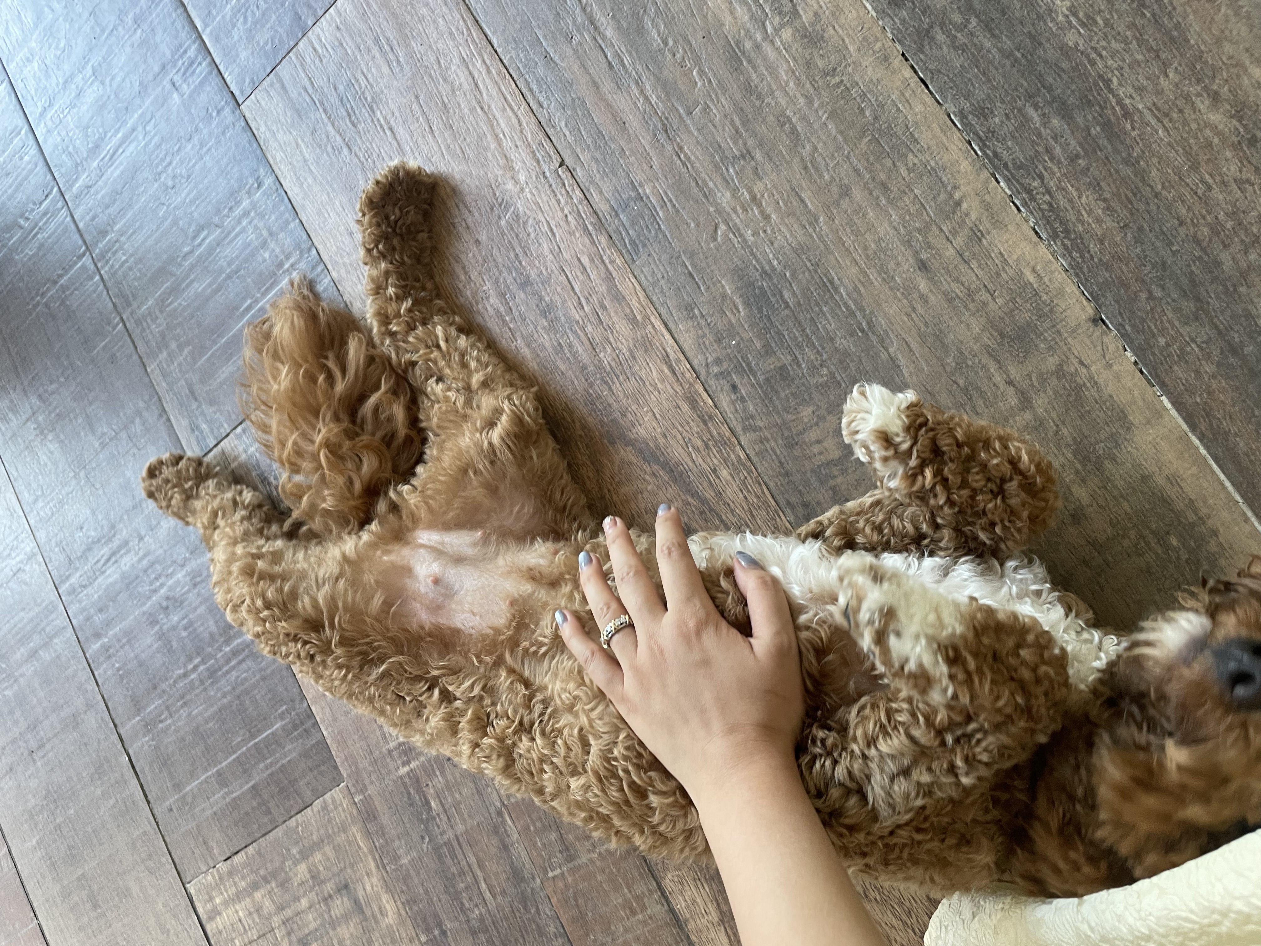 image-9