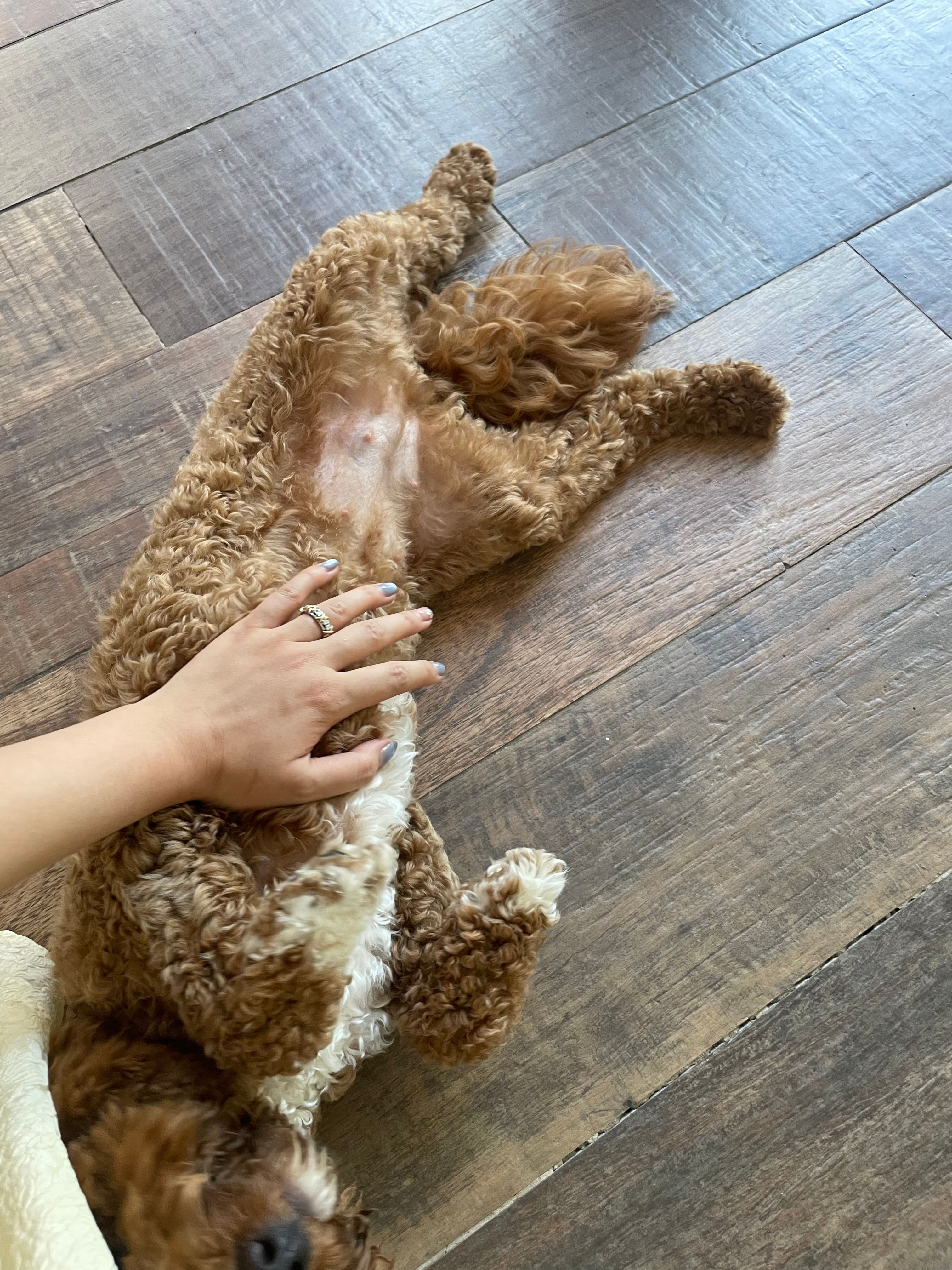image-9
