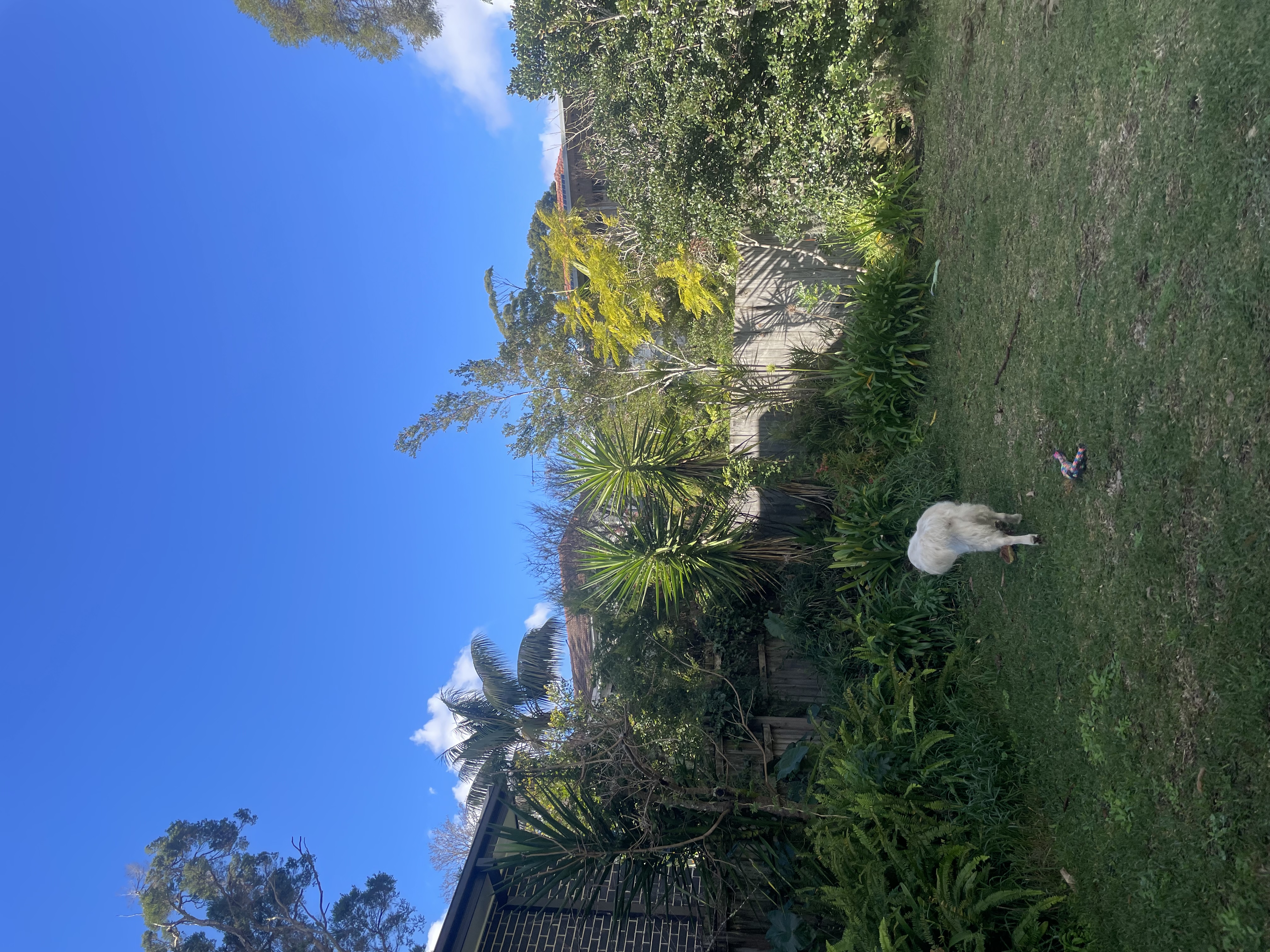 image-25