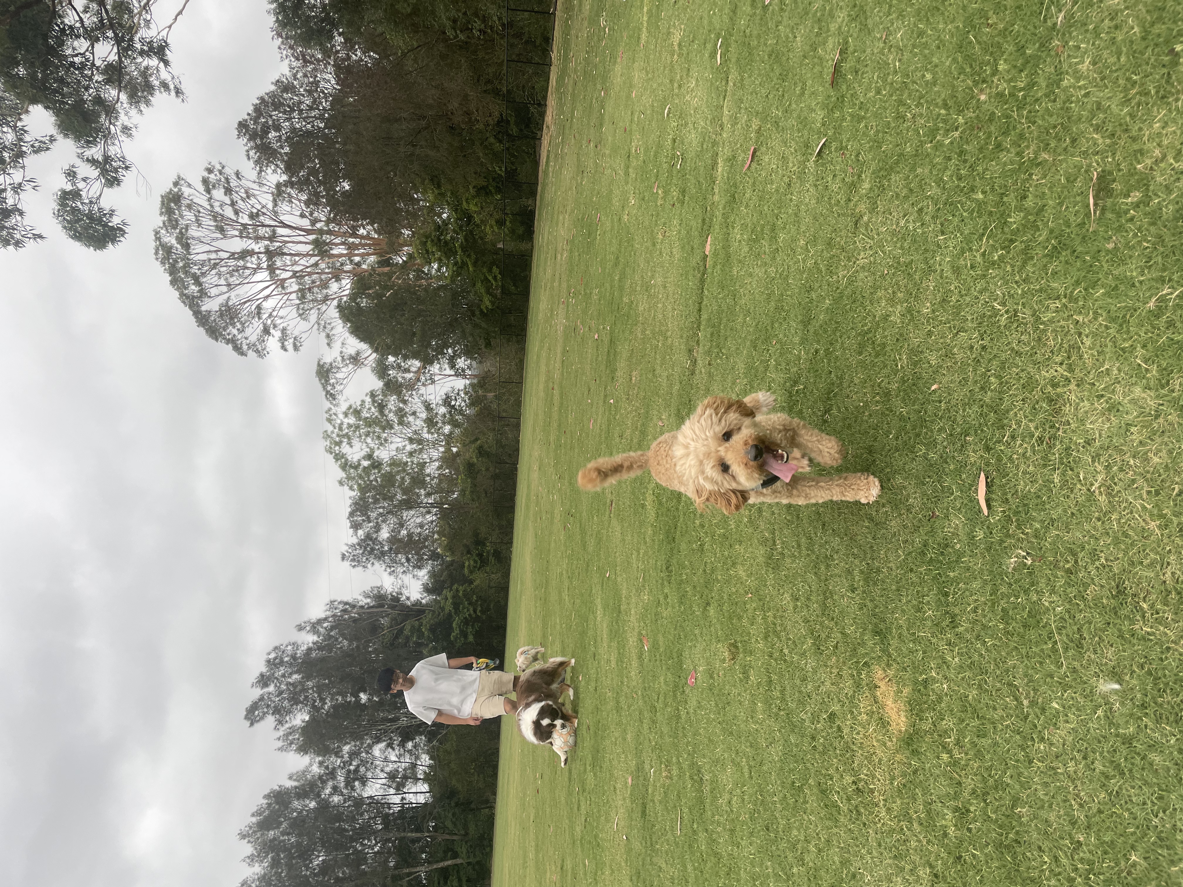 image-10