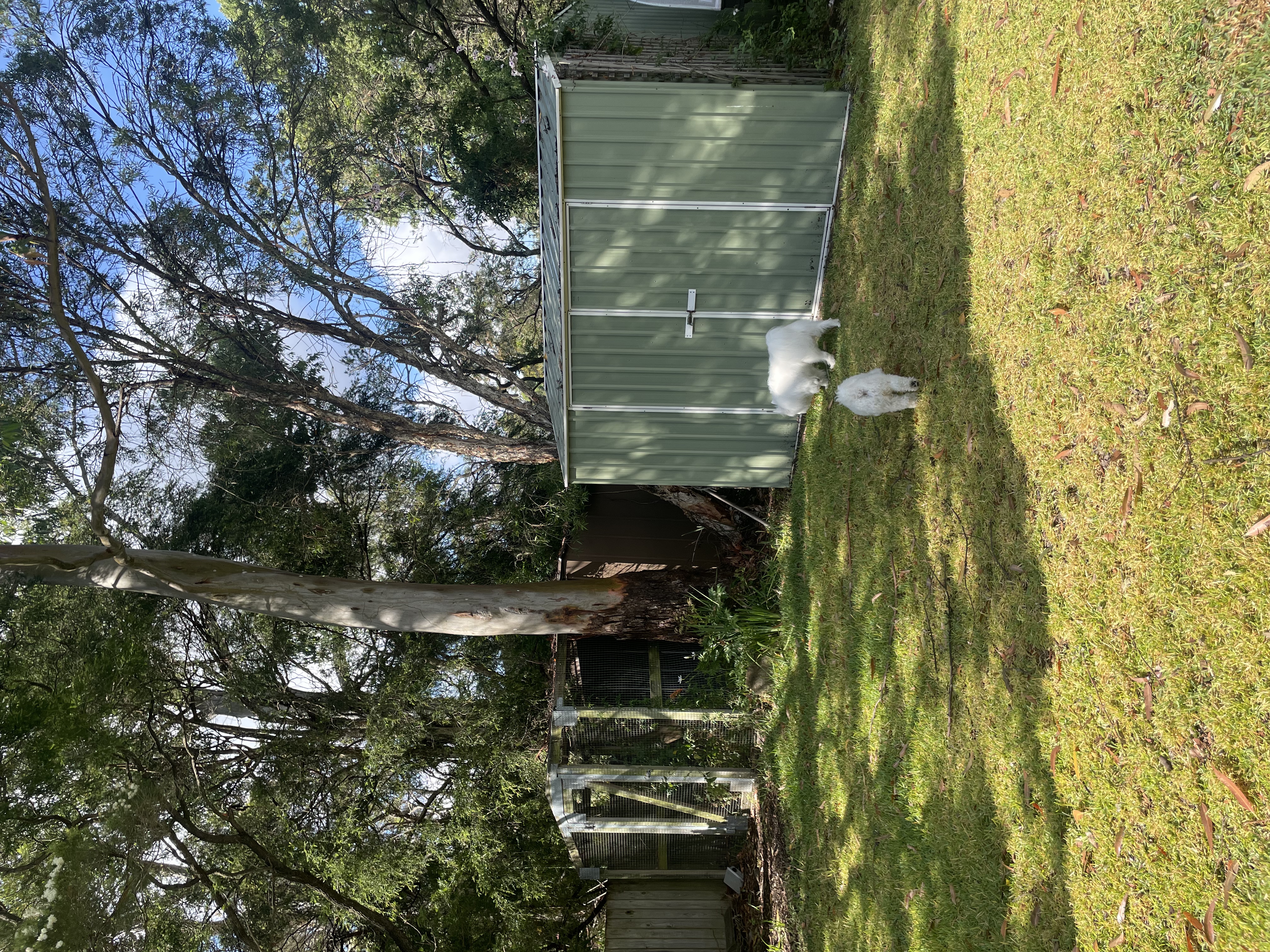 image-17