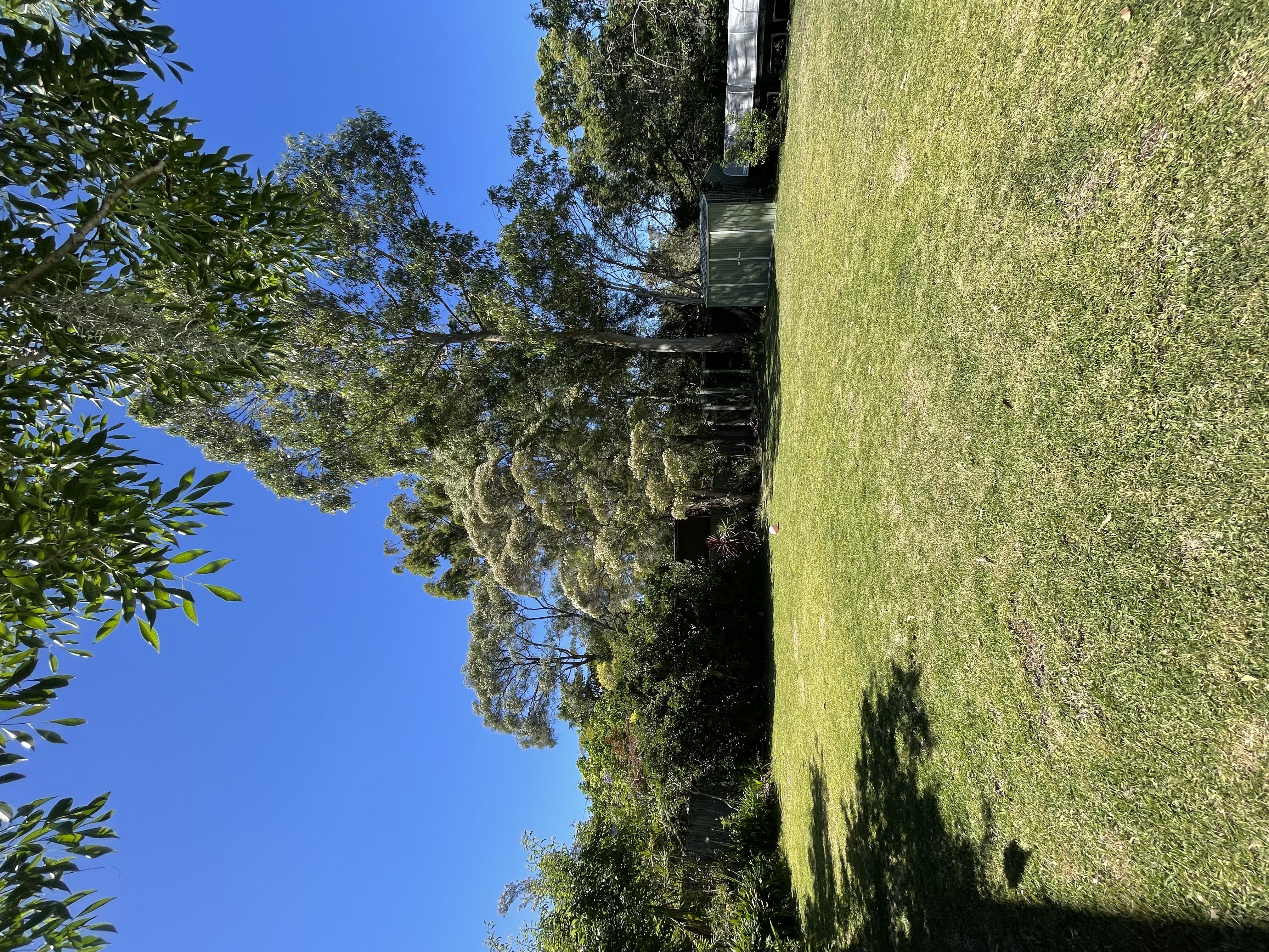 image-0