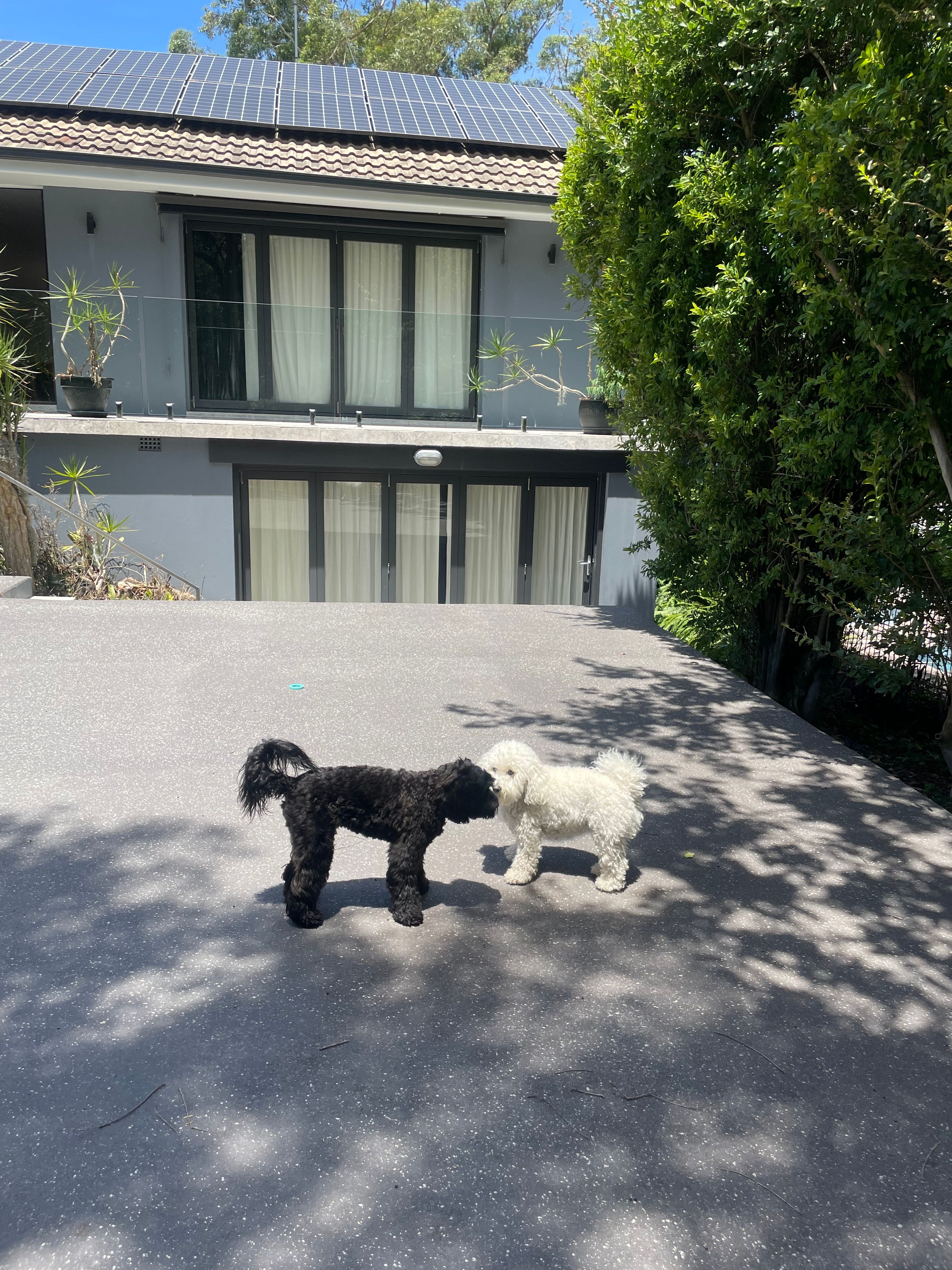 image-13