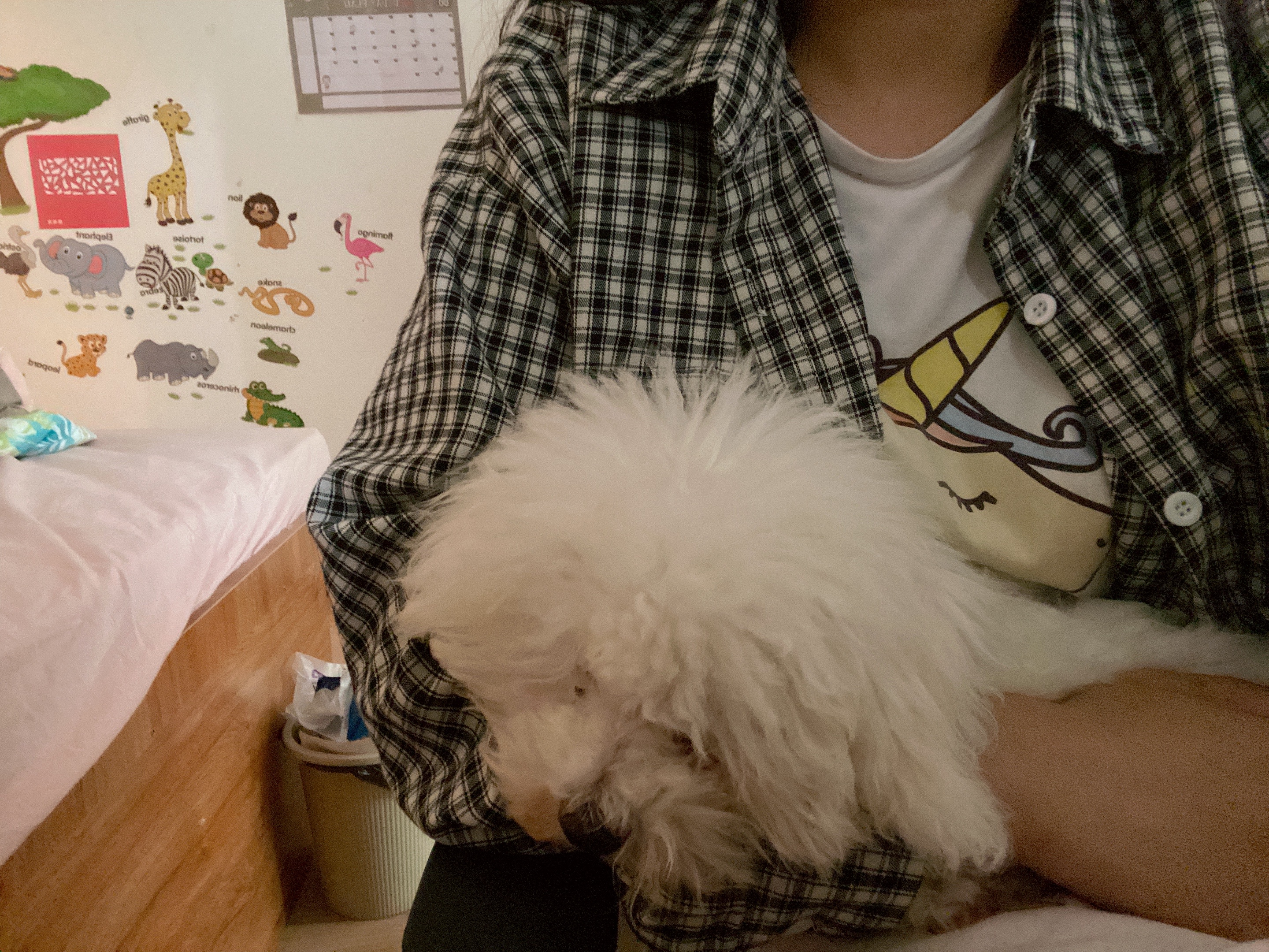 image-4