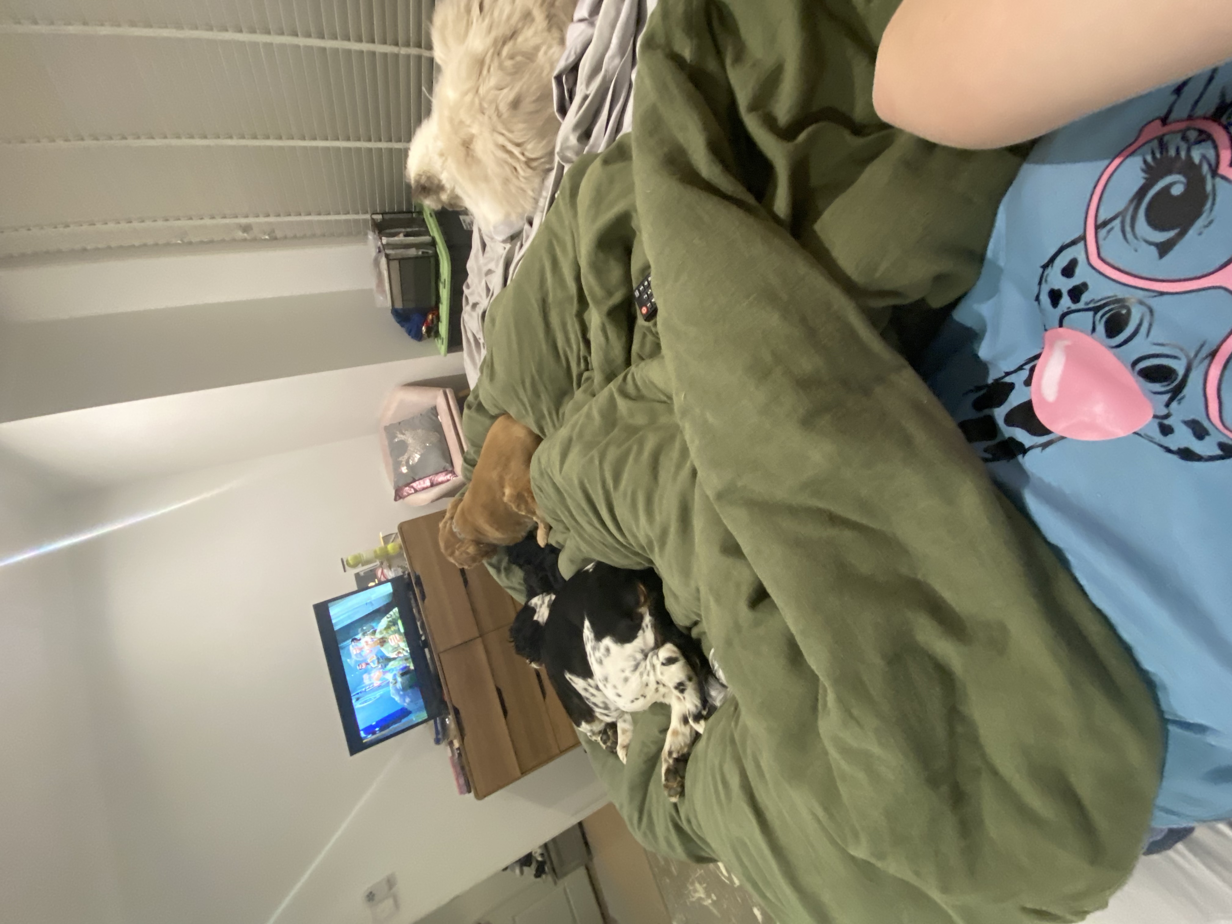 image-10