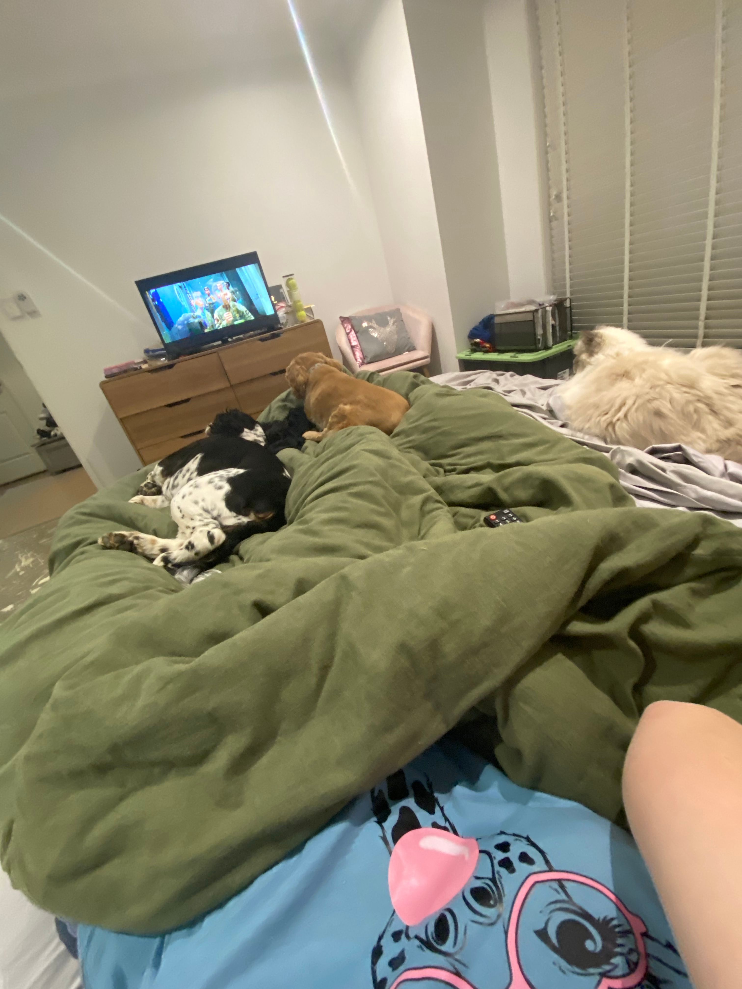 image-10