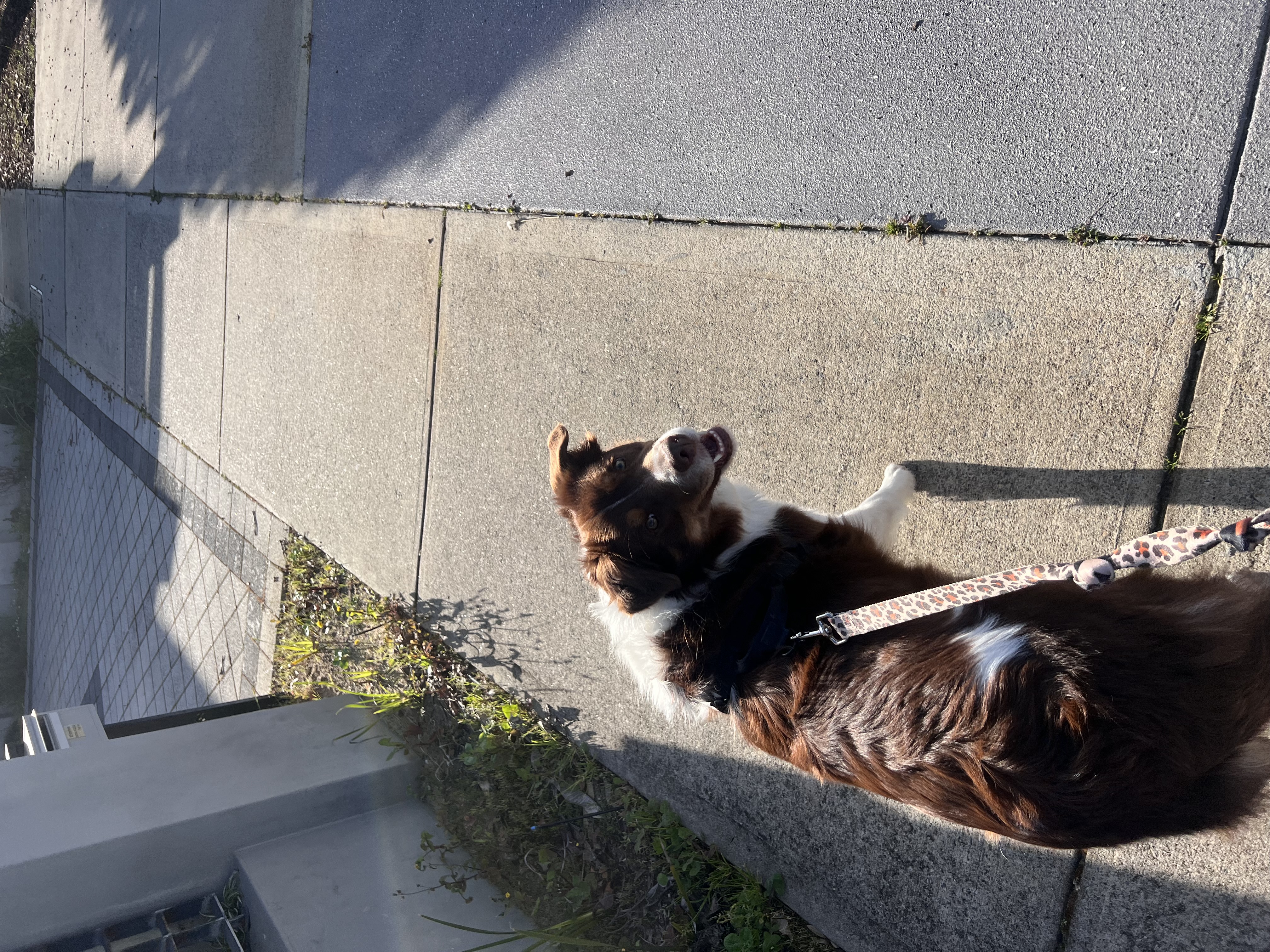 image-5