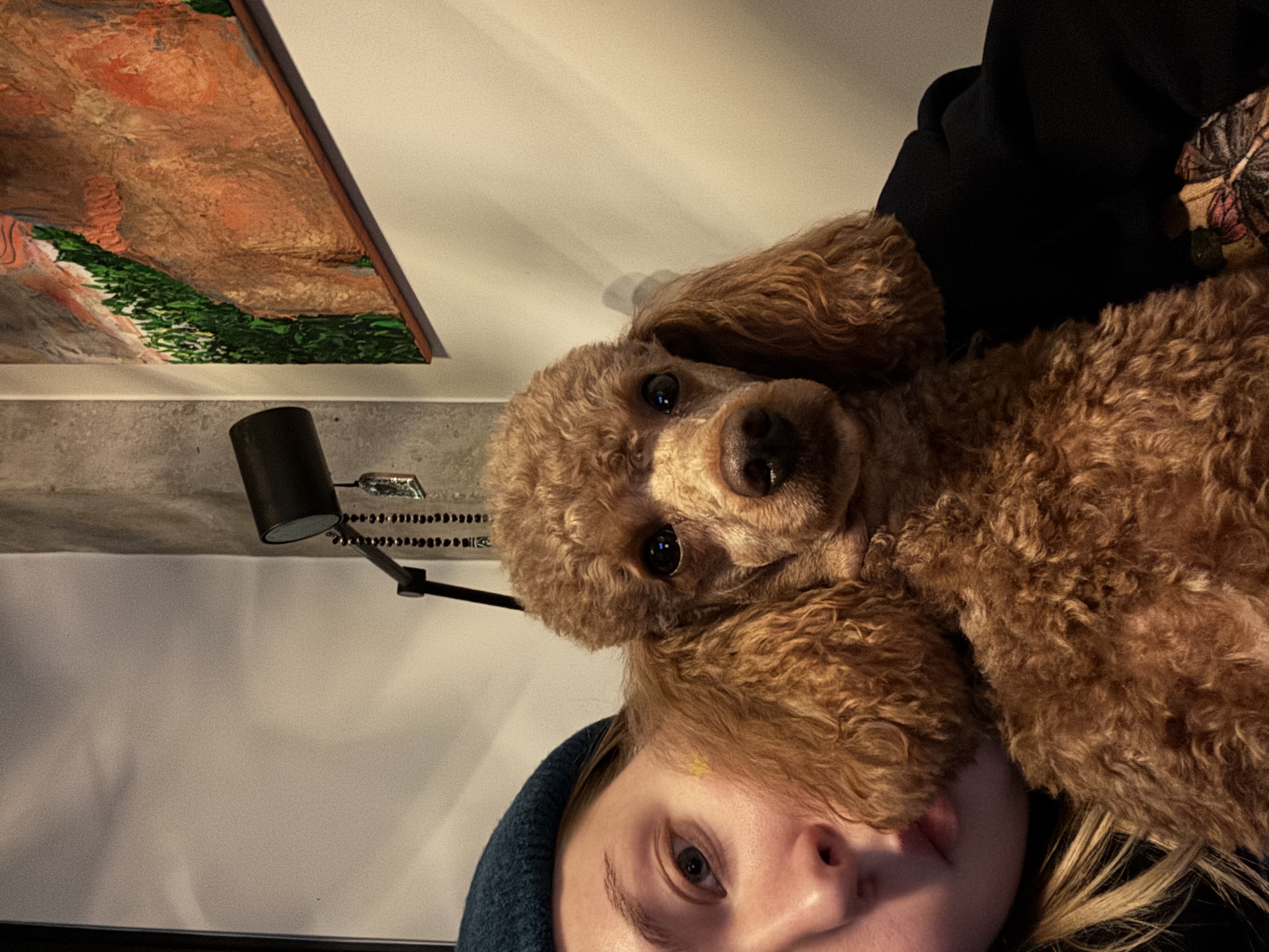 image-1