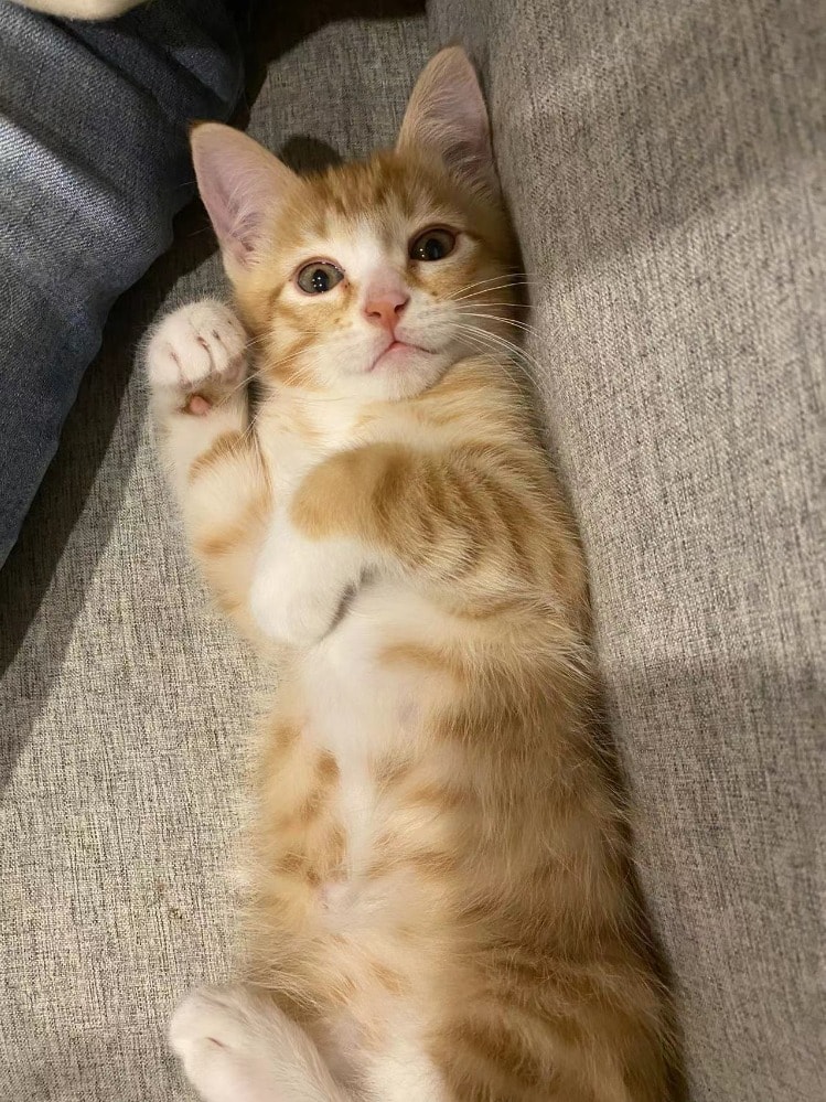 Bruce