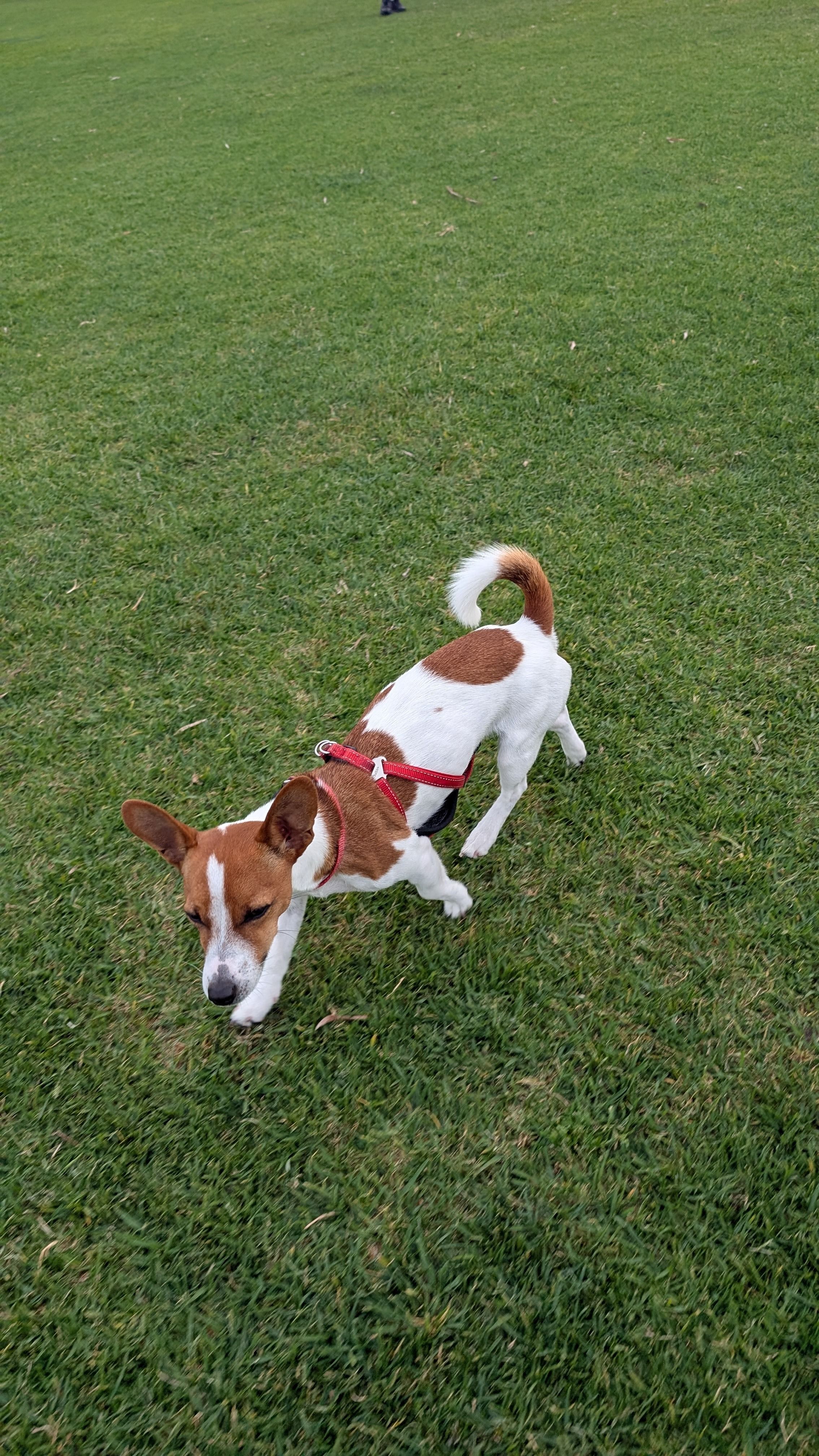 image-6