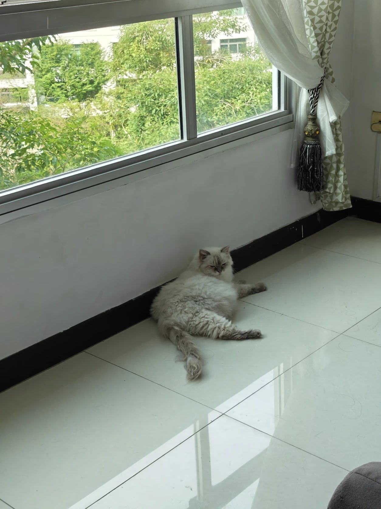 image-11