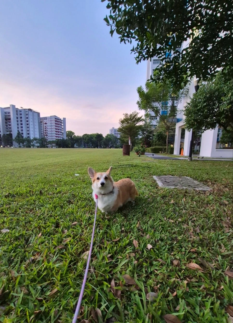 image-33