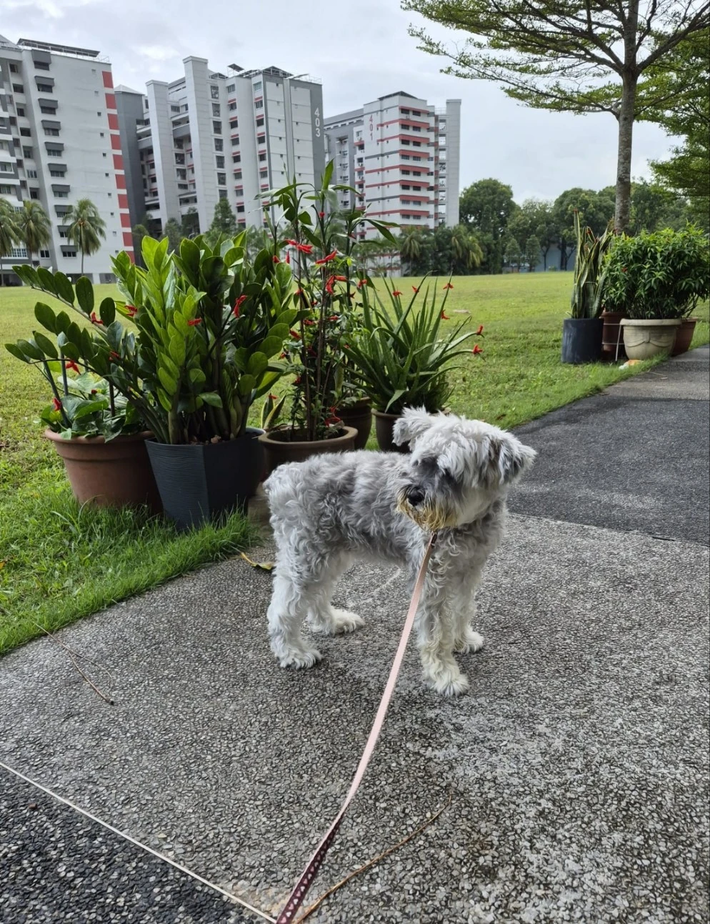 image-37