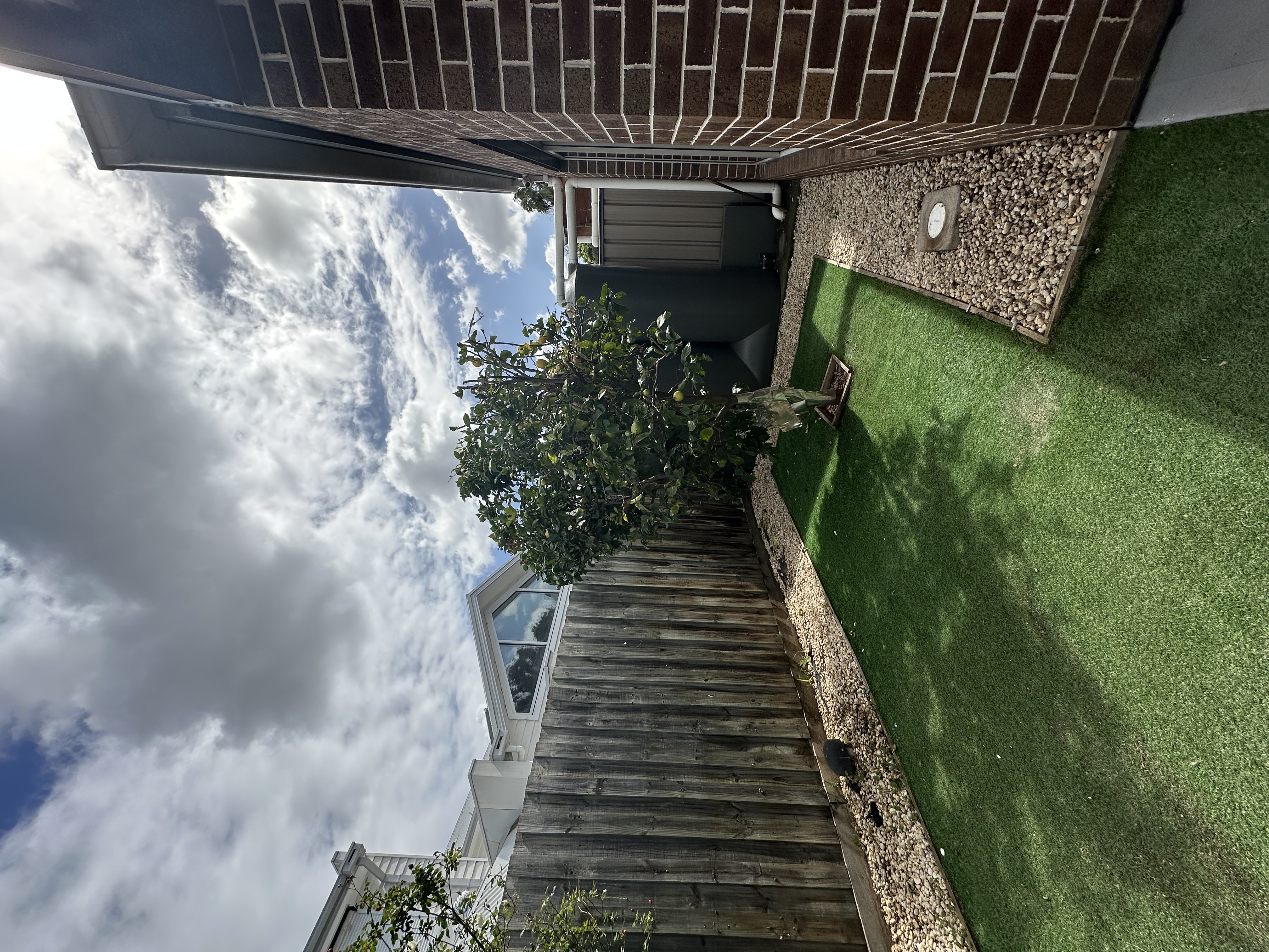 image-19