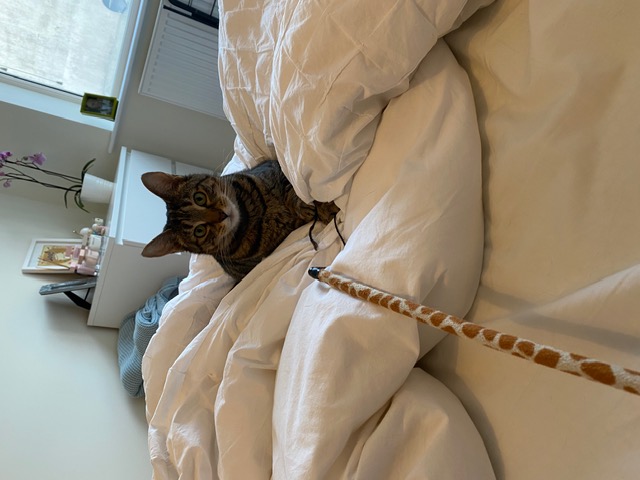 image-13
