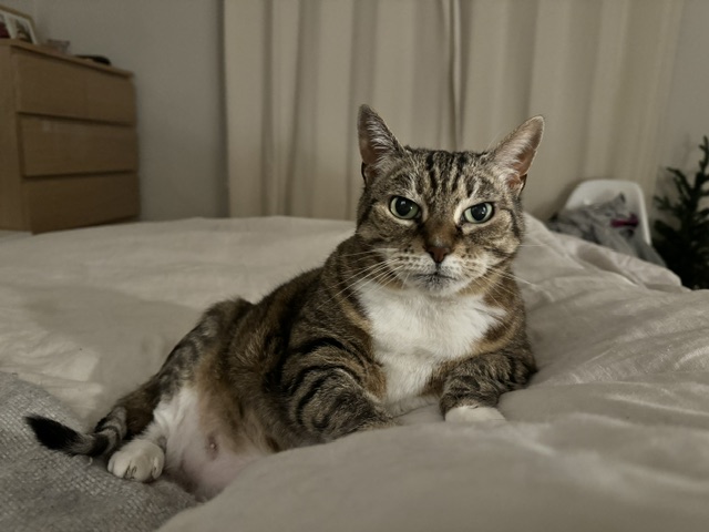 image-6