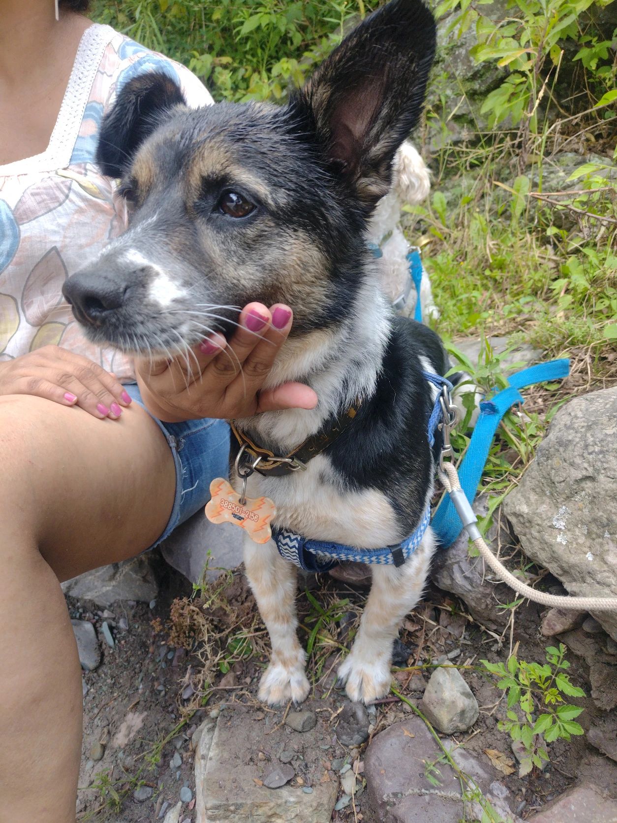 image-9
