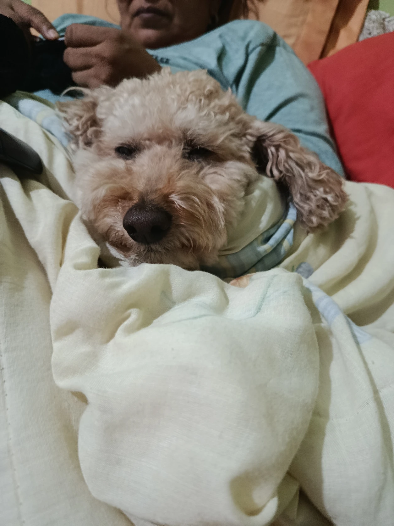 image-5