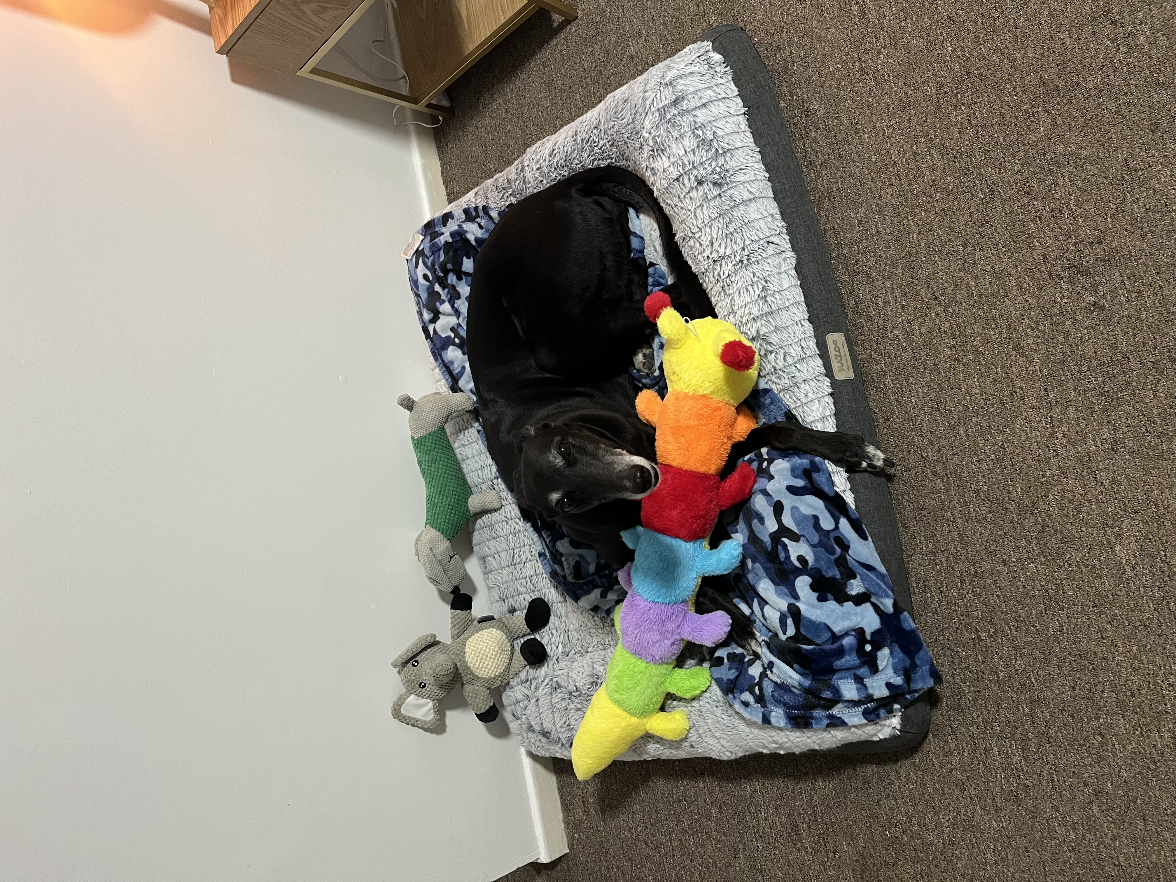 image-36