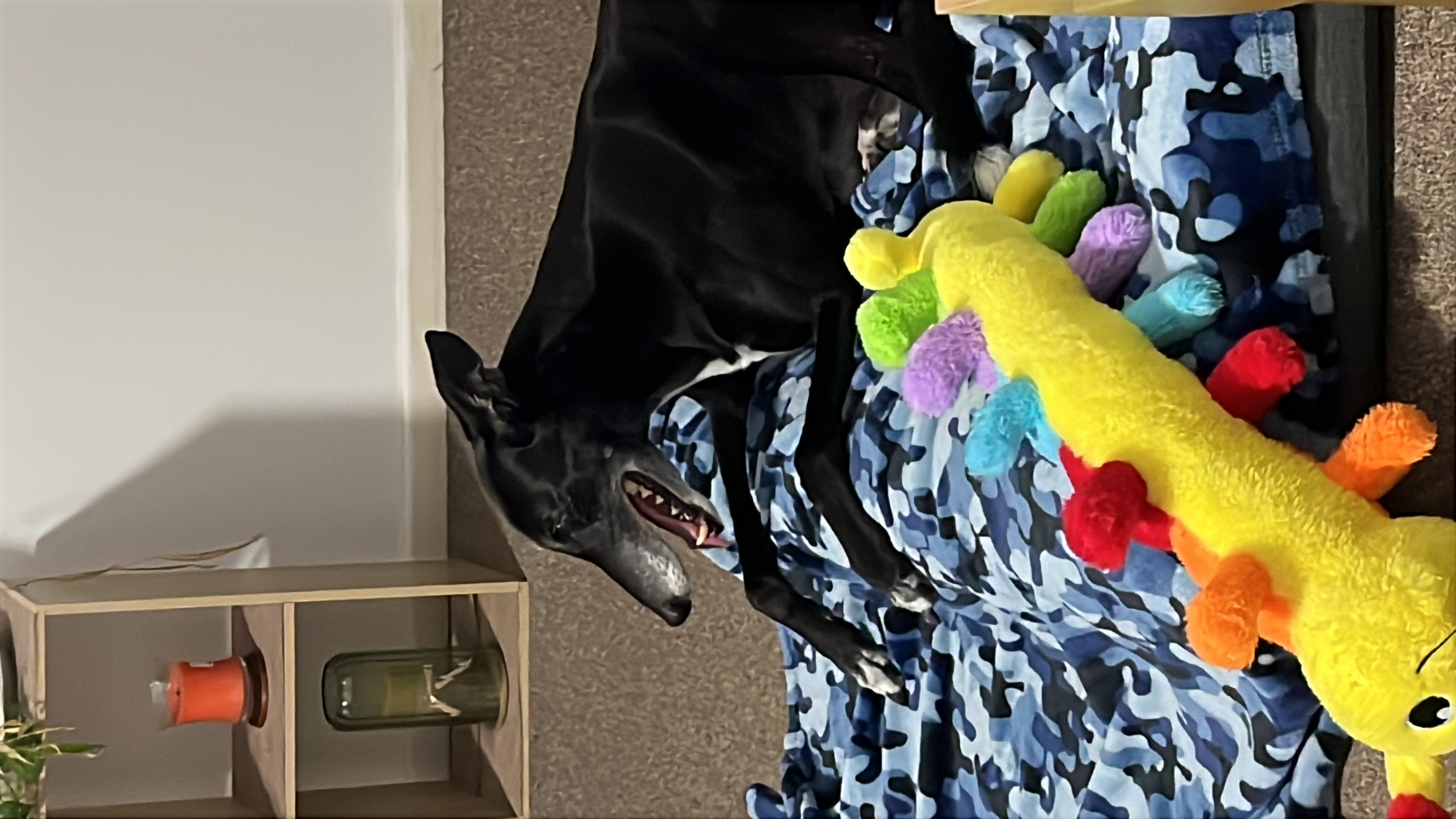 image-34