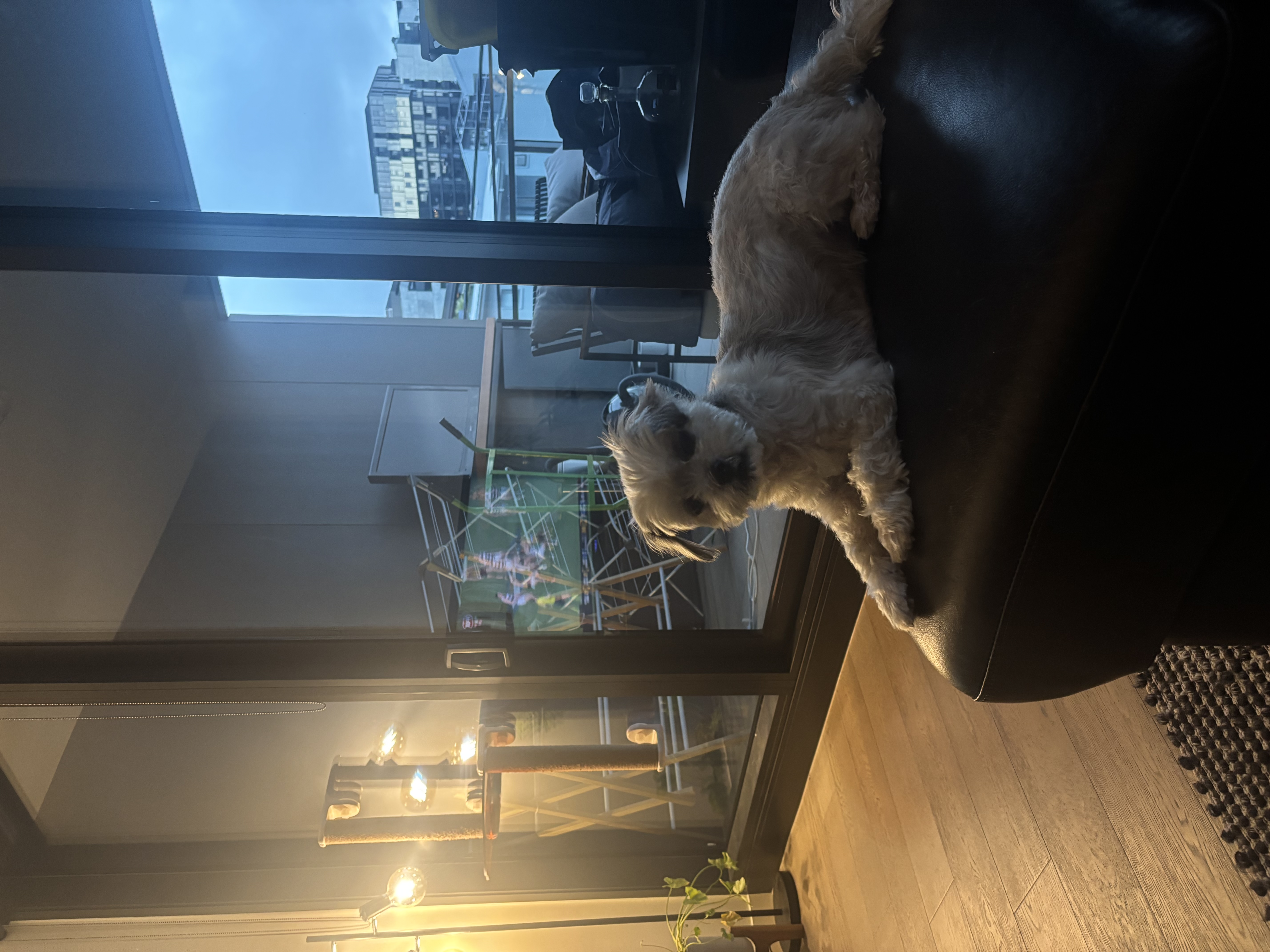 image-6