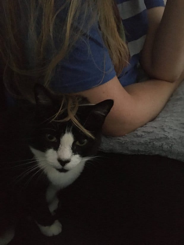 image-2