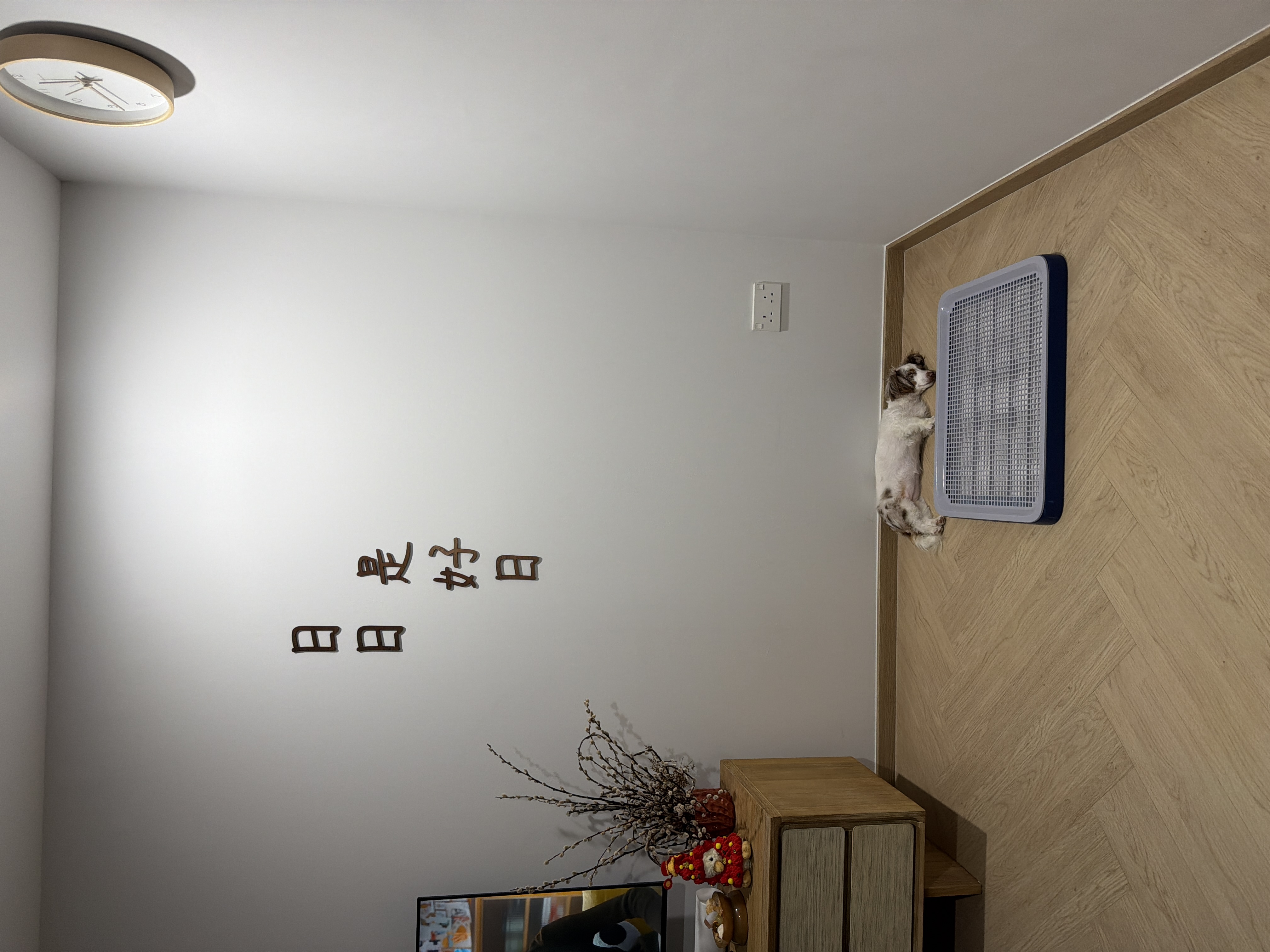 image-18