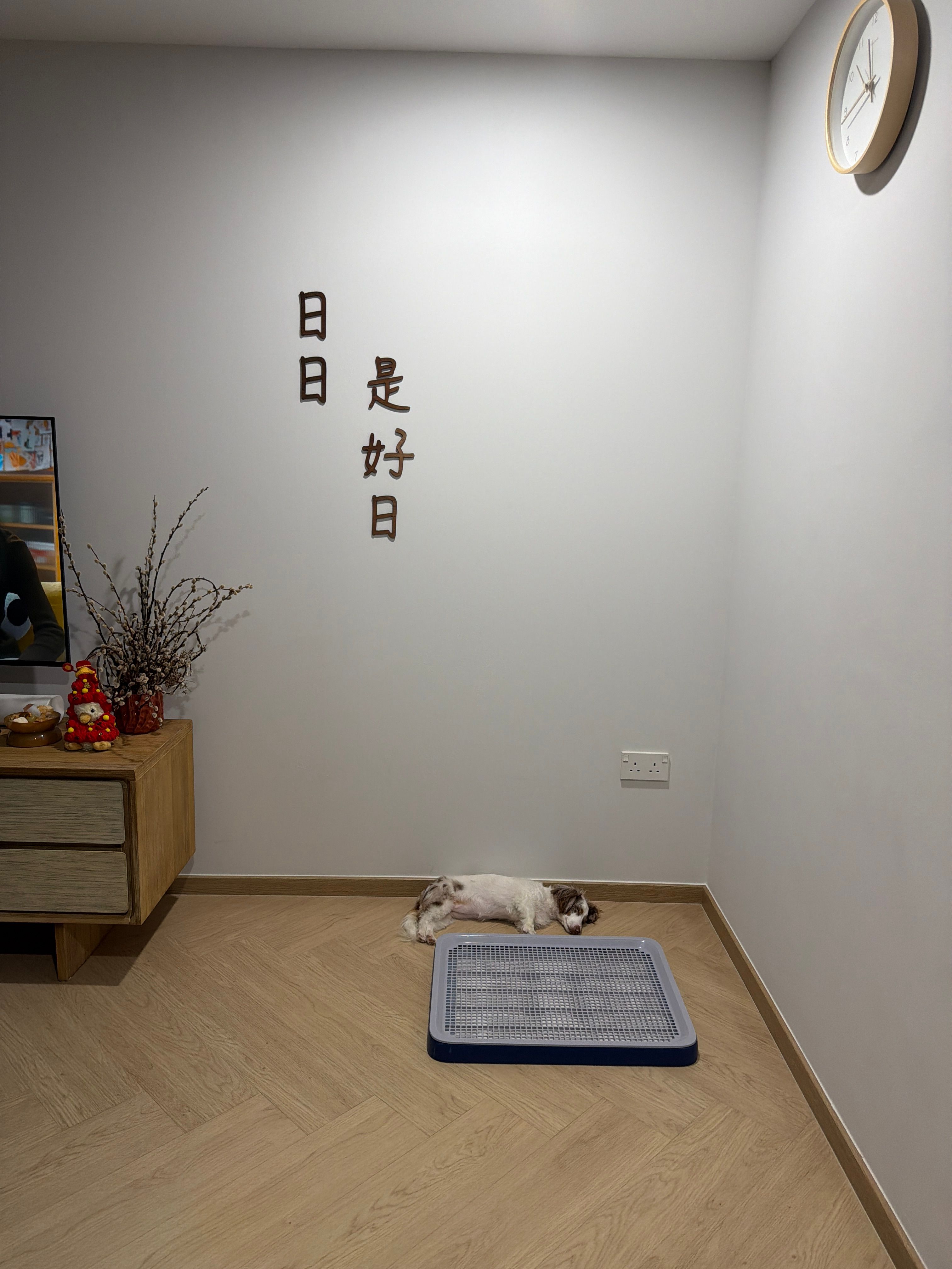image-18
