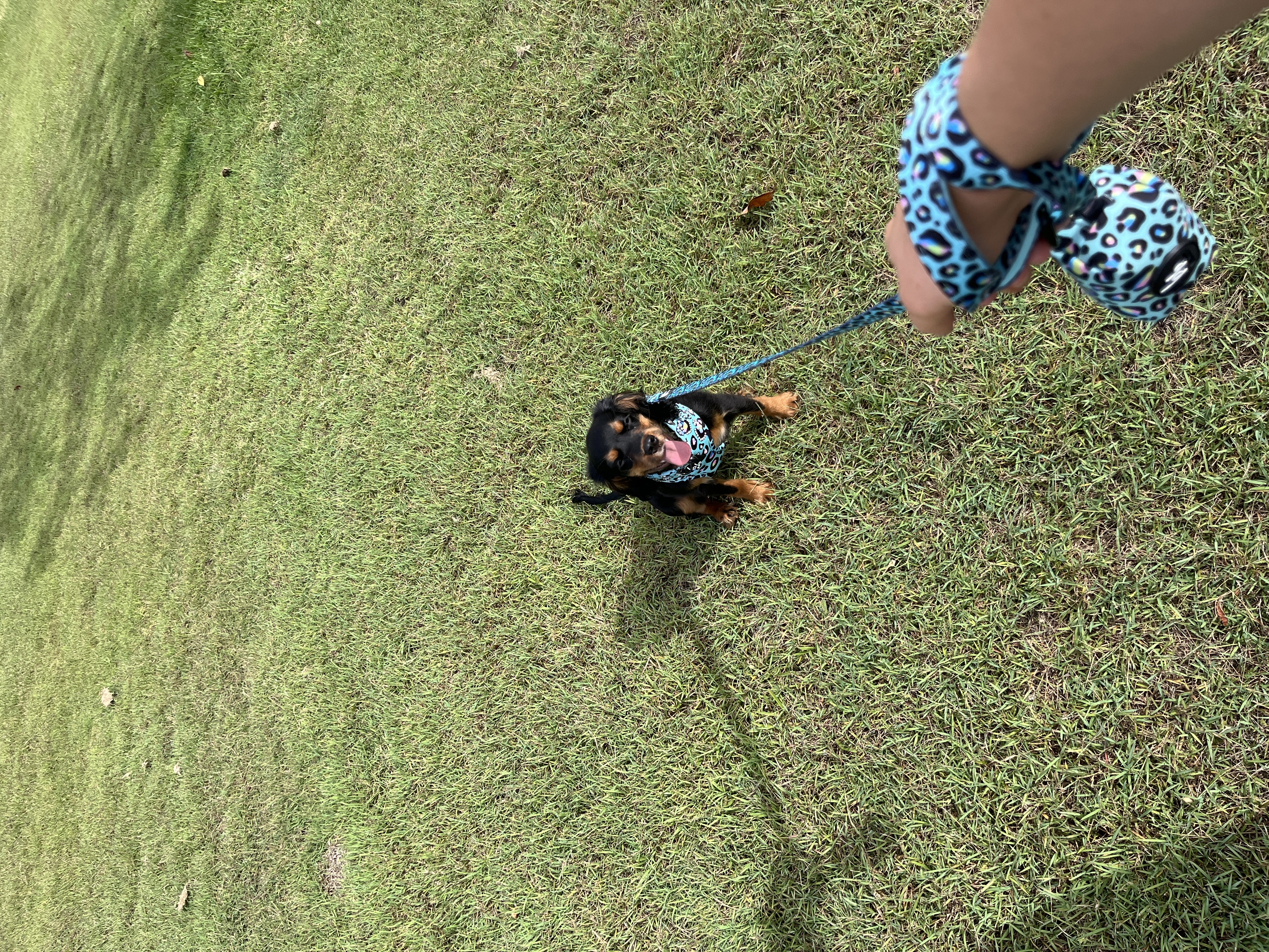 image-3