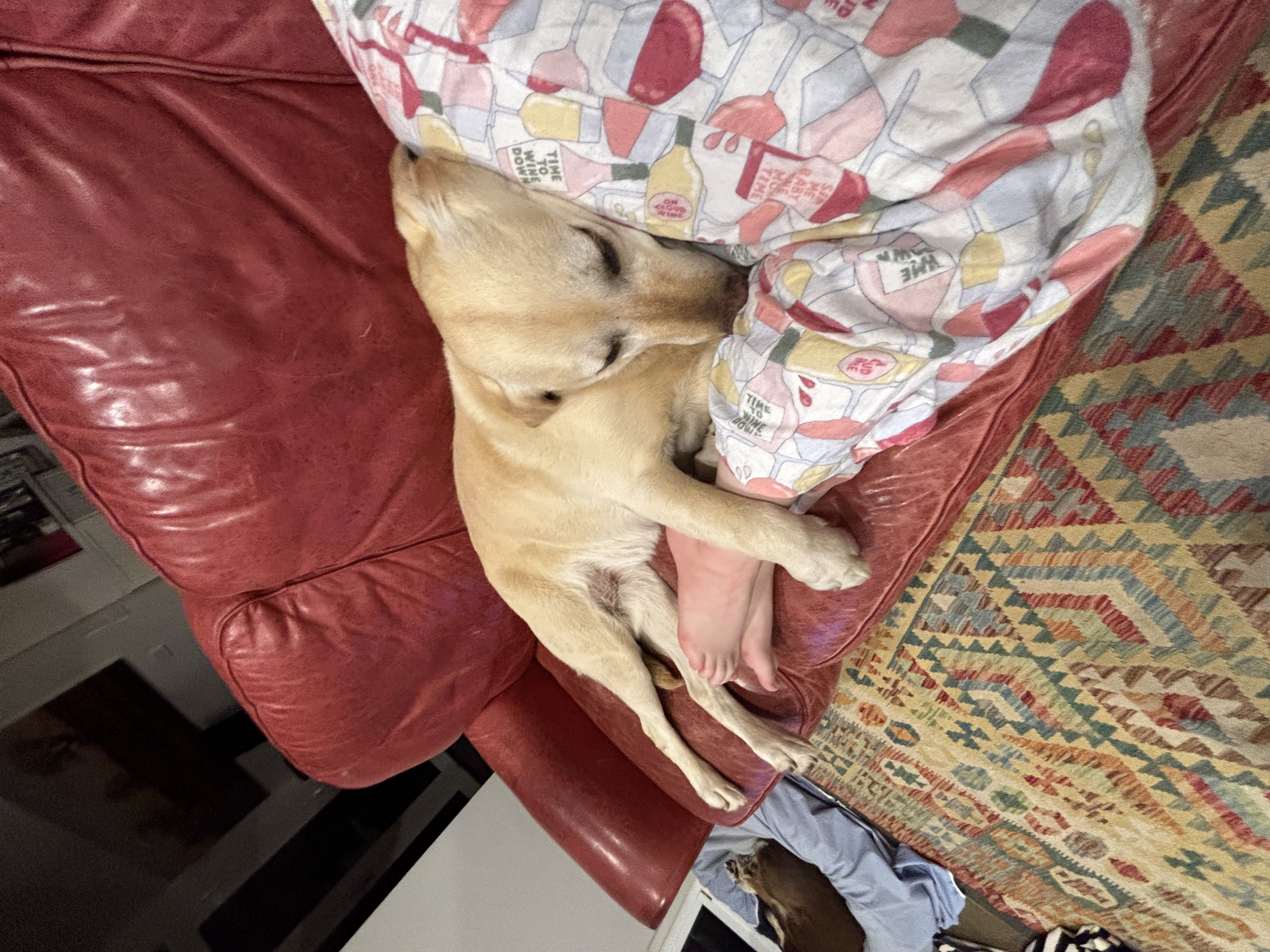 image-6