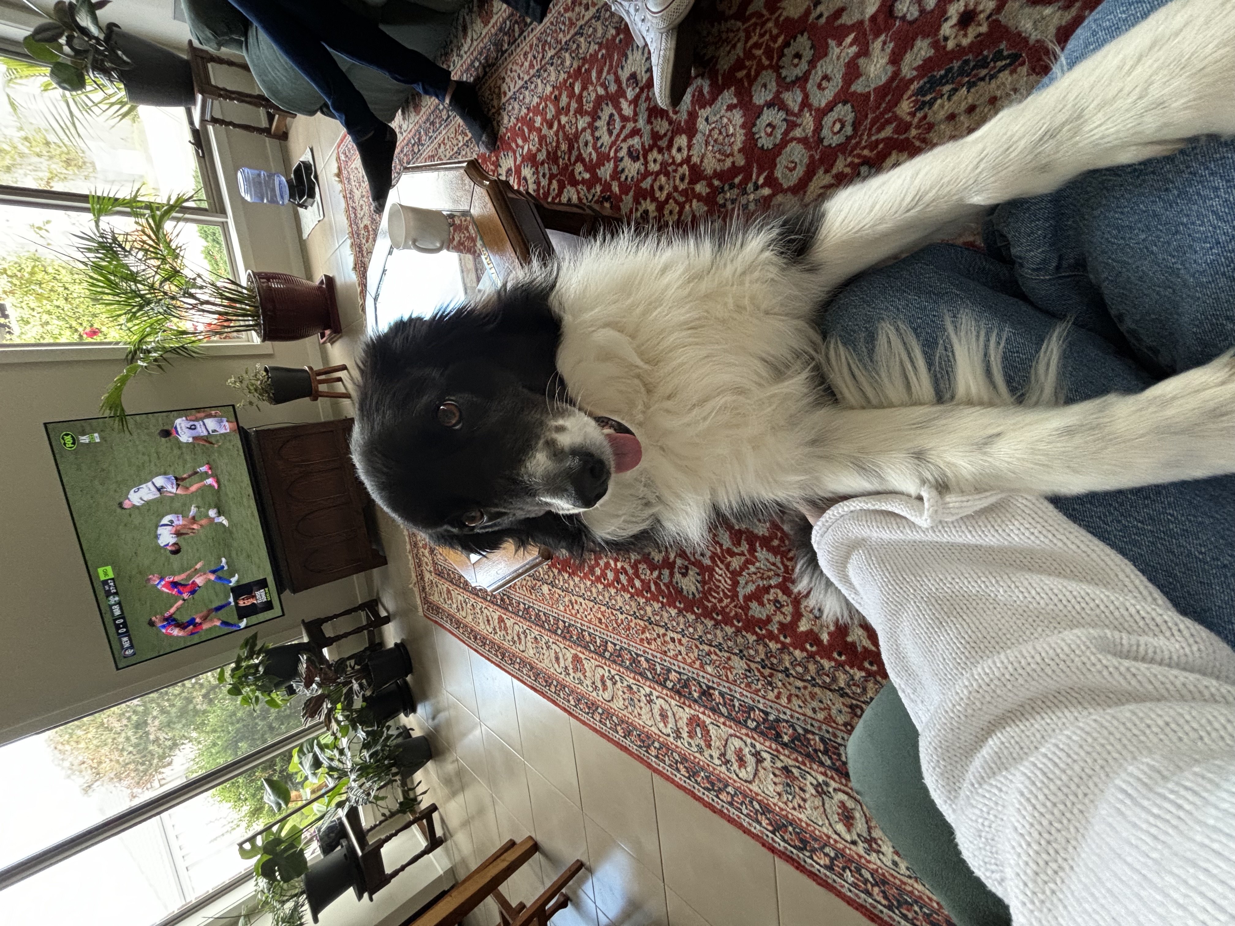 image-10