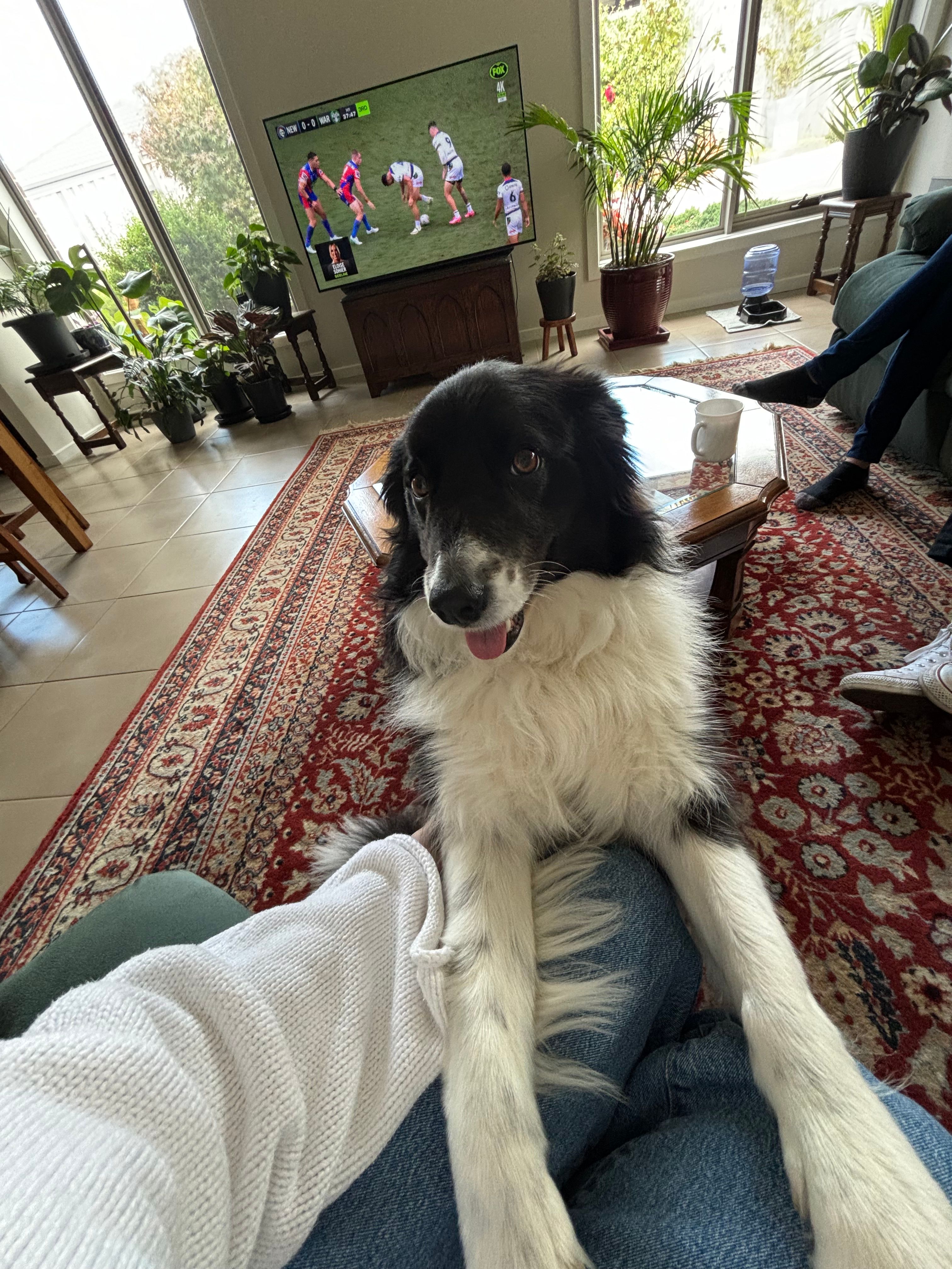 image-10