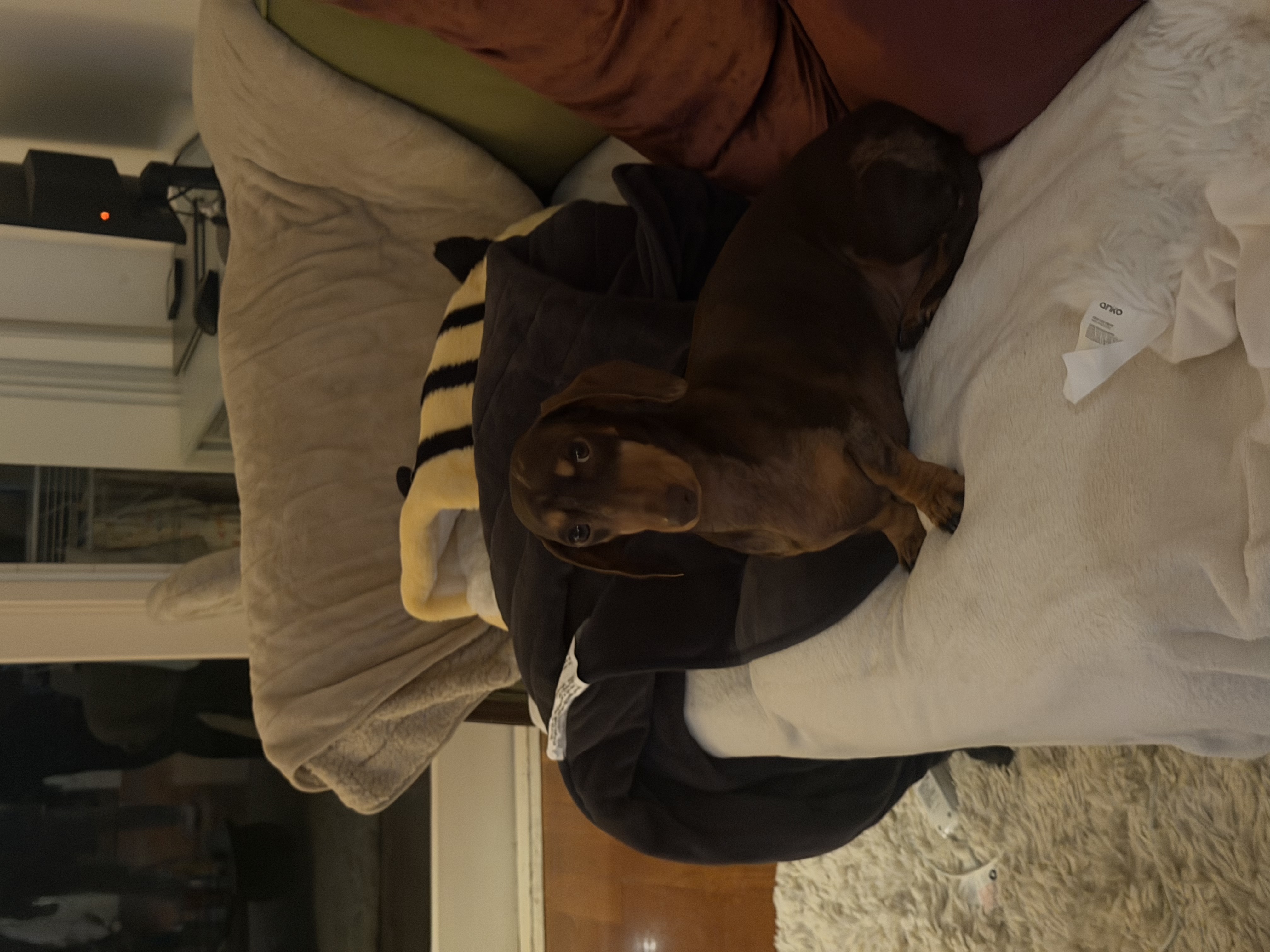 image-5
