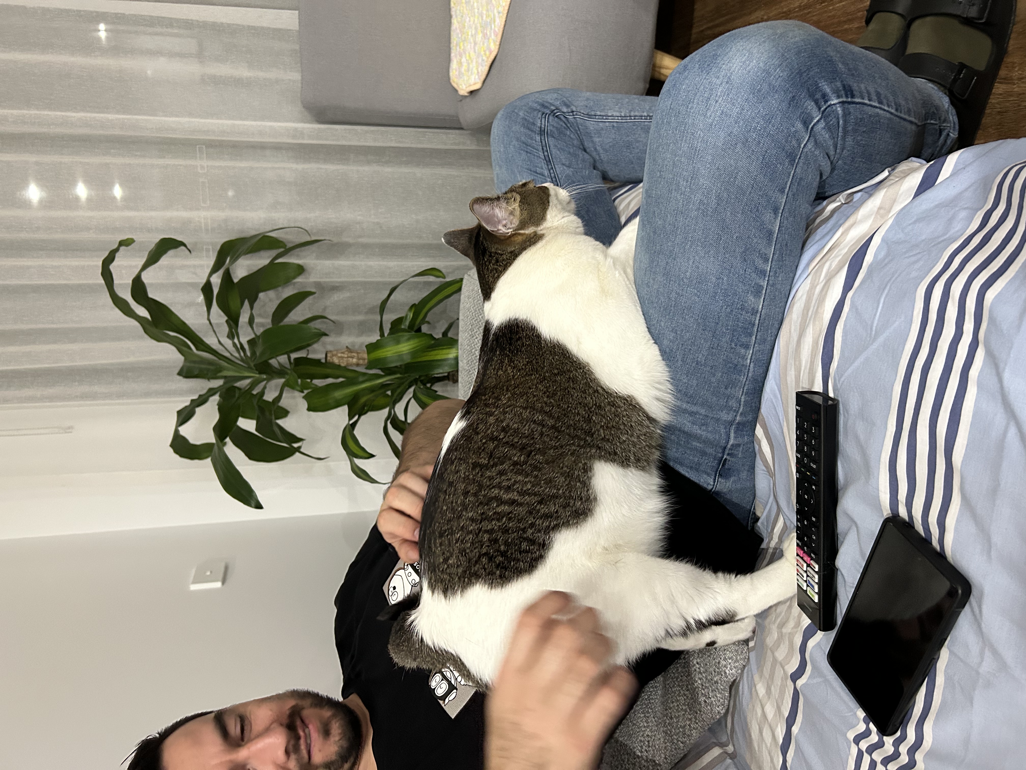 image-4