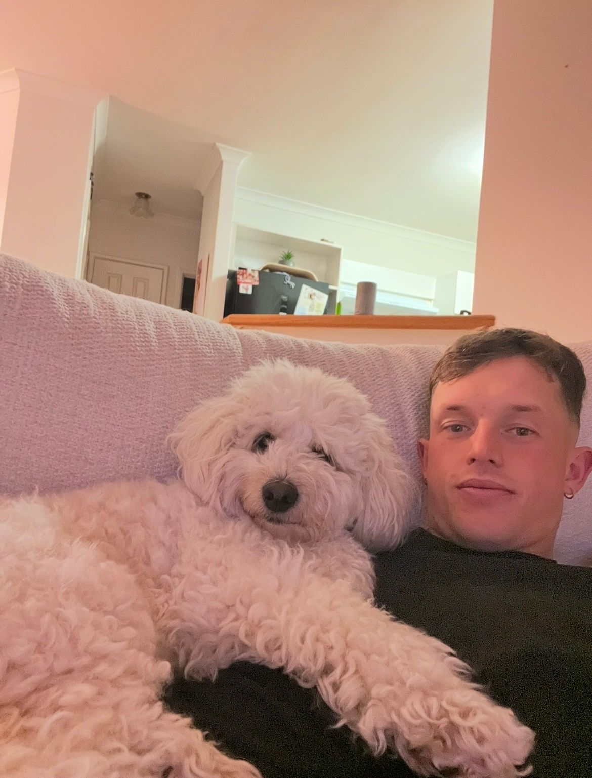 image-8